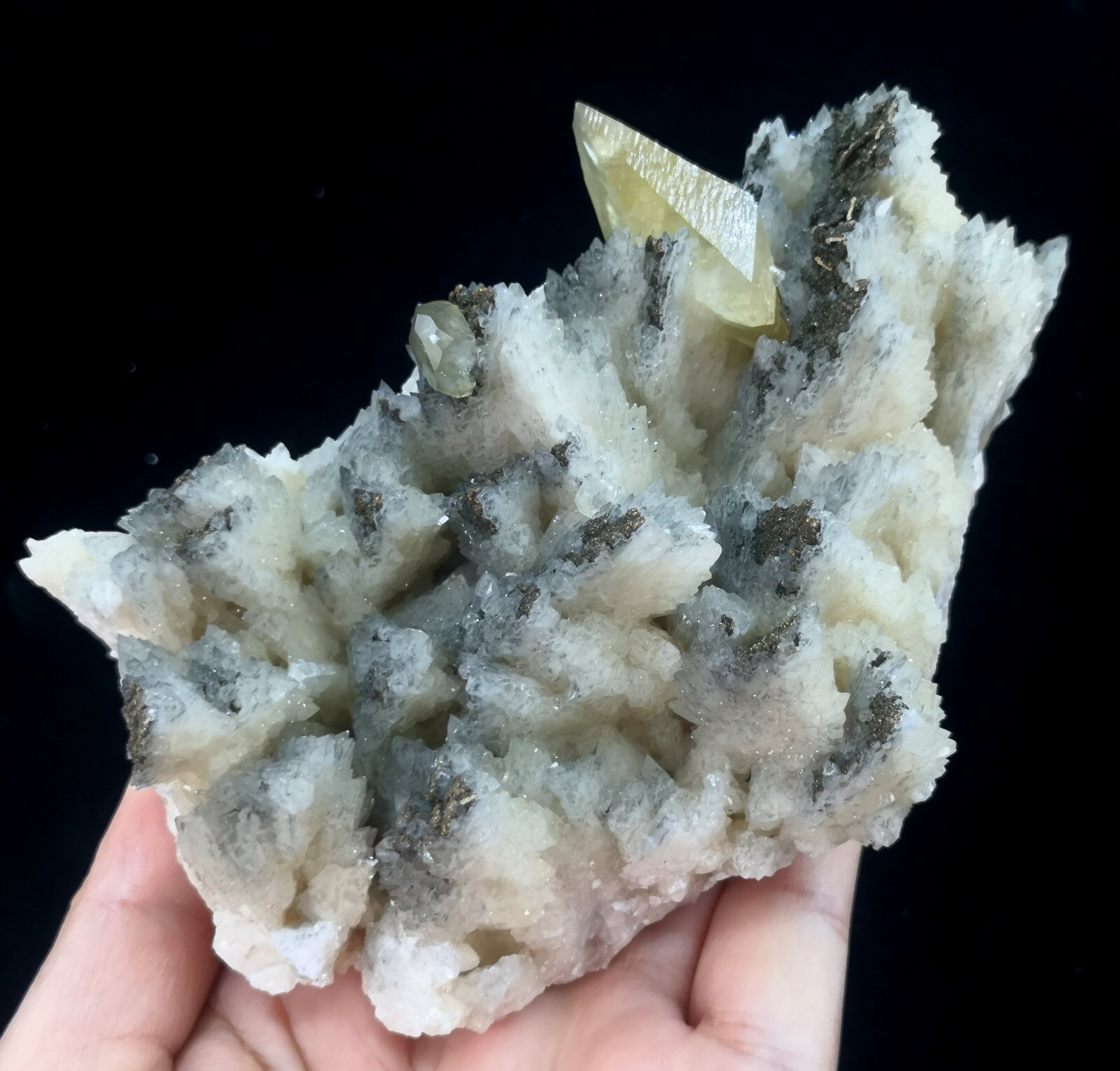 125mm 526g Dog-teeth Calcite & Chalcopyrite on ‘White Dragon Scale’ Calcite