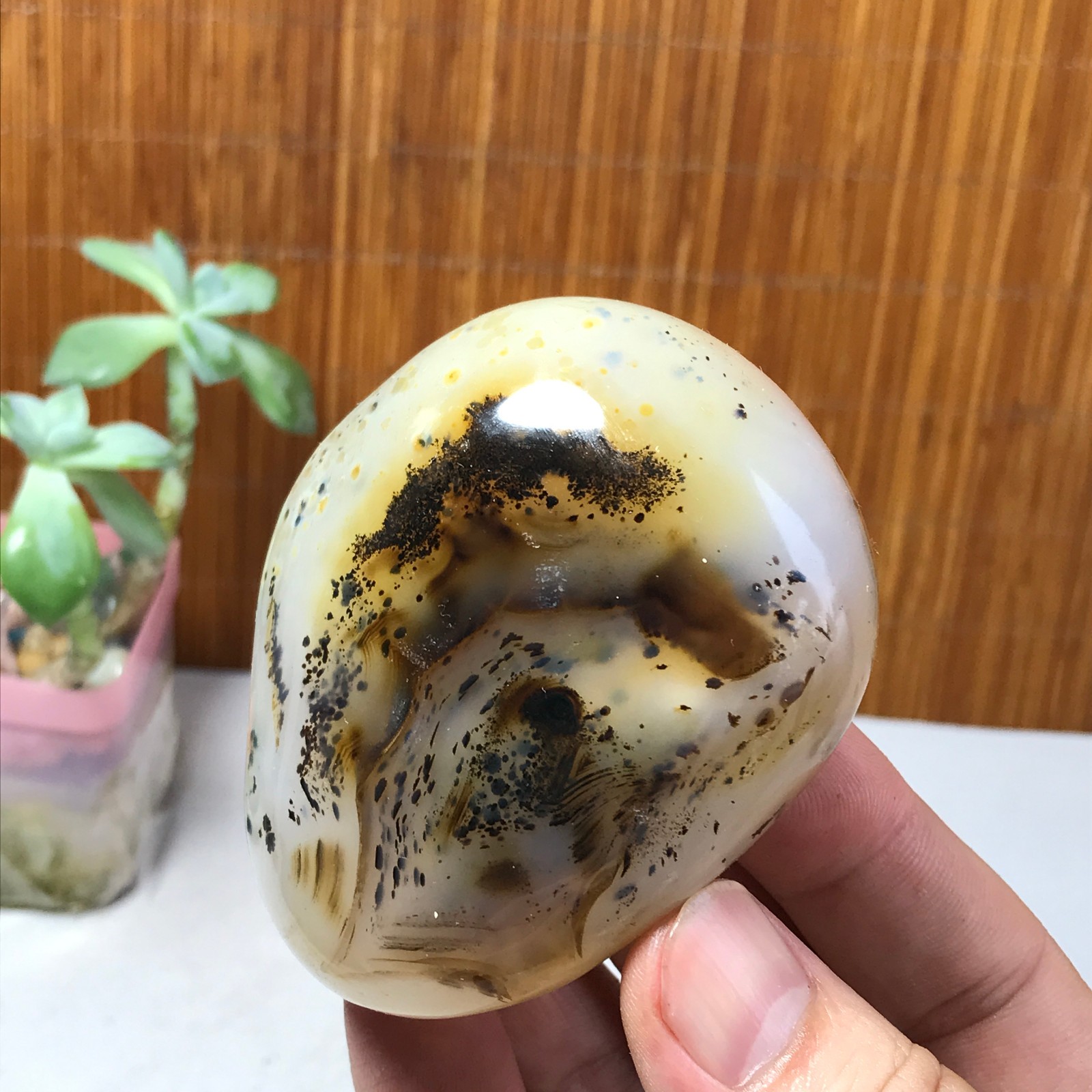 71mm Natural aquatic plants agate pretty Crystal specimens 210g A1637