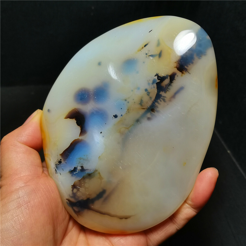 TOP 384 G Natural Polished Aquatic Plants Agate Crystal Madagascar BY384