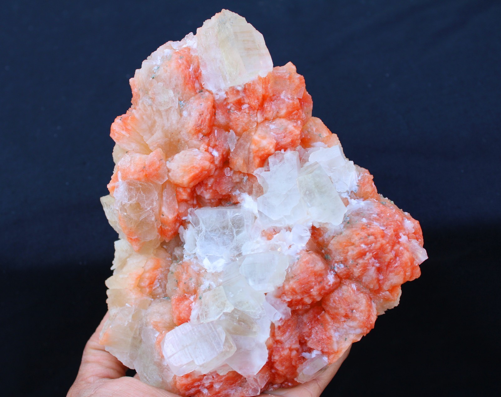 APOPHYLLITE CRYSTALS ON STILBITE MINERALS SPECIMEN#A22