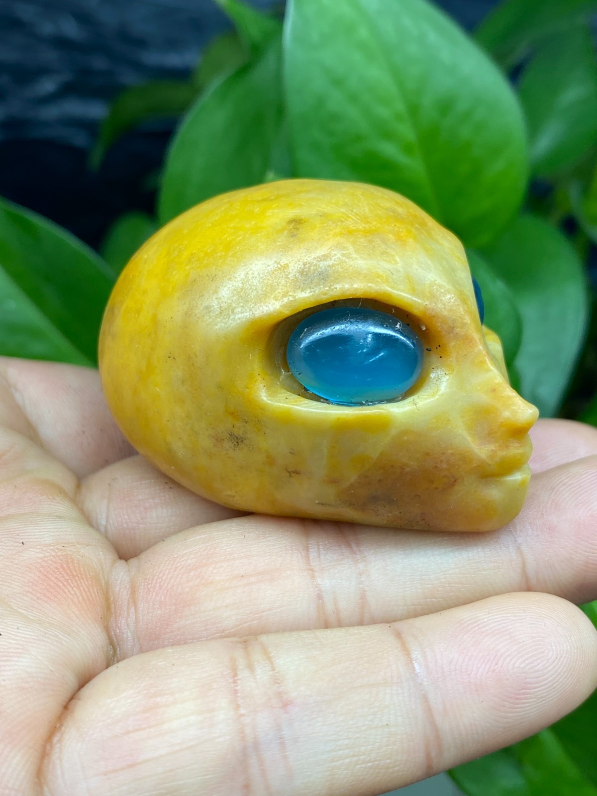 1pc Natural Yellow jade Quartz Carved Alien Skull Crystal Reiki Healing Gem Gift