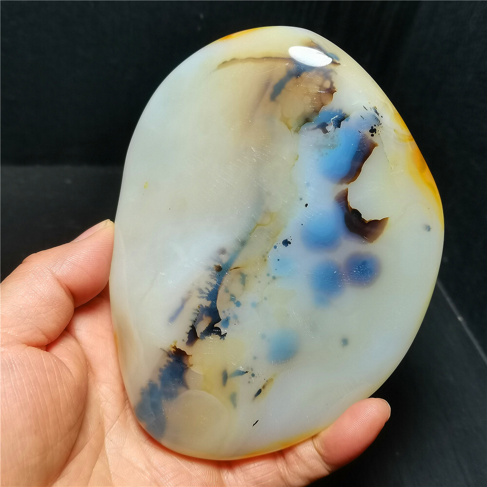 TOP 384 G Natural Polished Aquatic Plants Agate Crystal Madagascar BY384