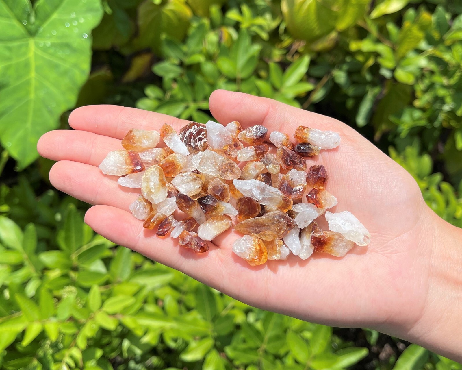 1/2 lb Bulk Citrine Points Crystal Collection in Box (‘A’ Grade Premium Citrine)