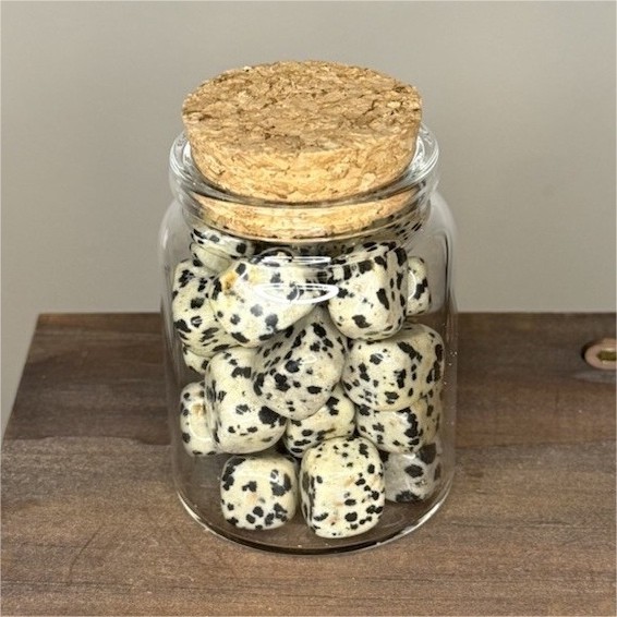 Dalmatian Jasper Polished Tumbles – Clear Glass Jar Included
