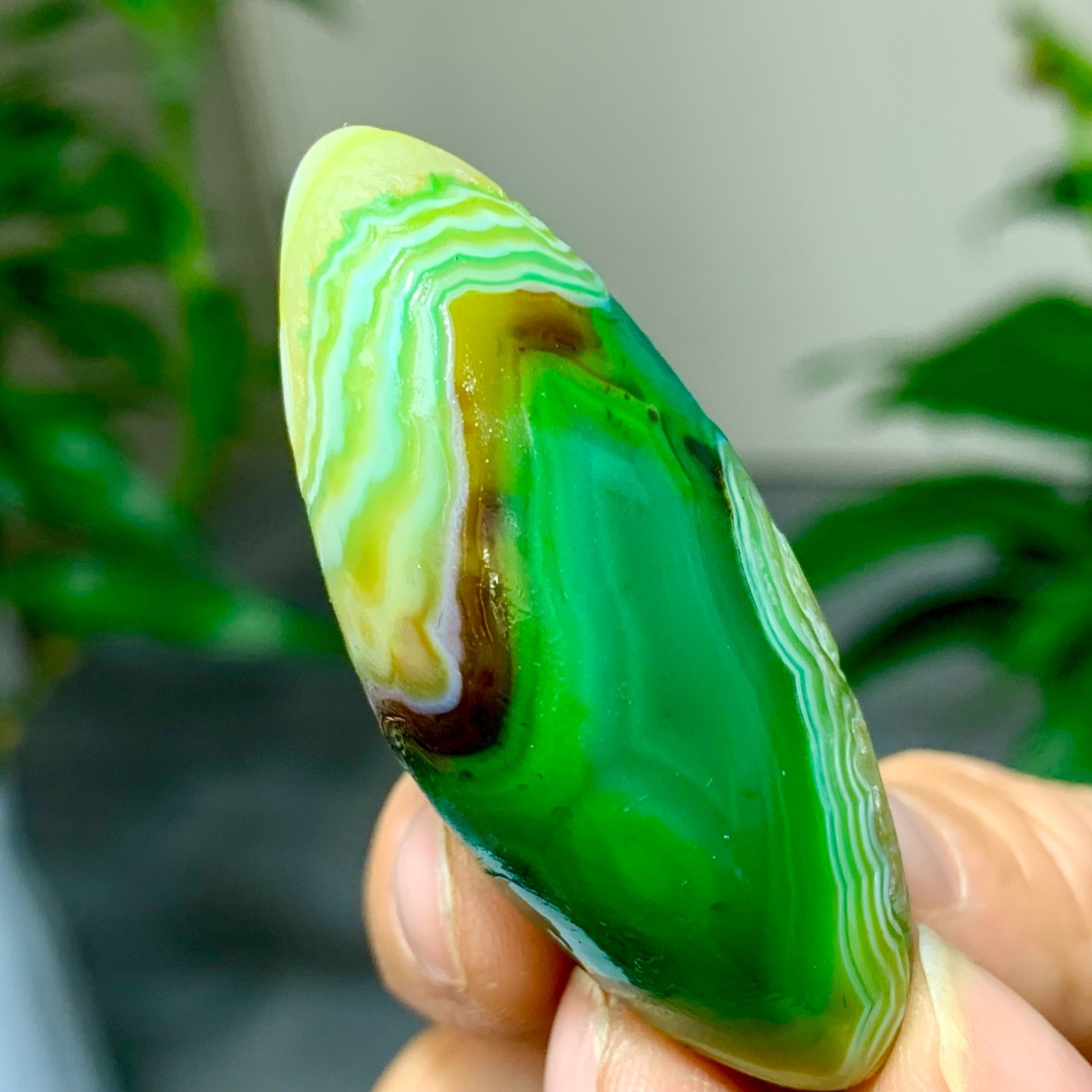 28G Natural green gobi agate eye crystal Circular pattern mineral healing B205