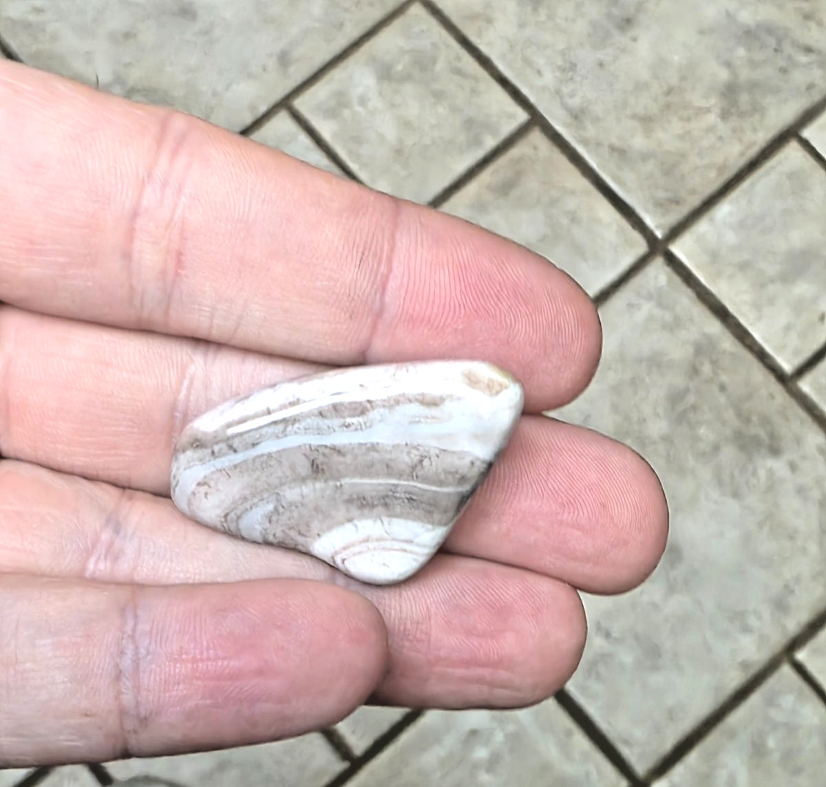 POLISHED BEAUTIFUL BOTSWANA AGATE, NATURAL Grey AGATE banding and earth Tones
