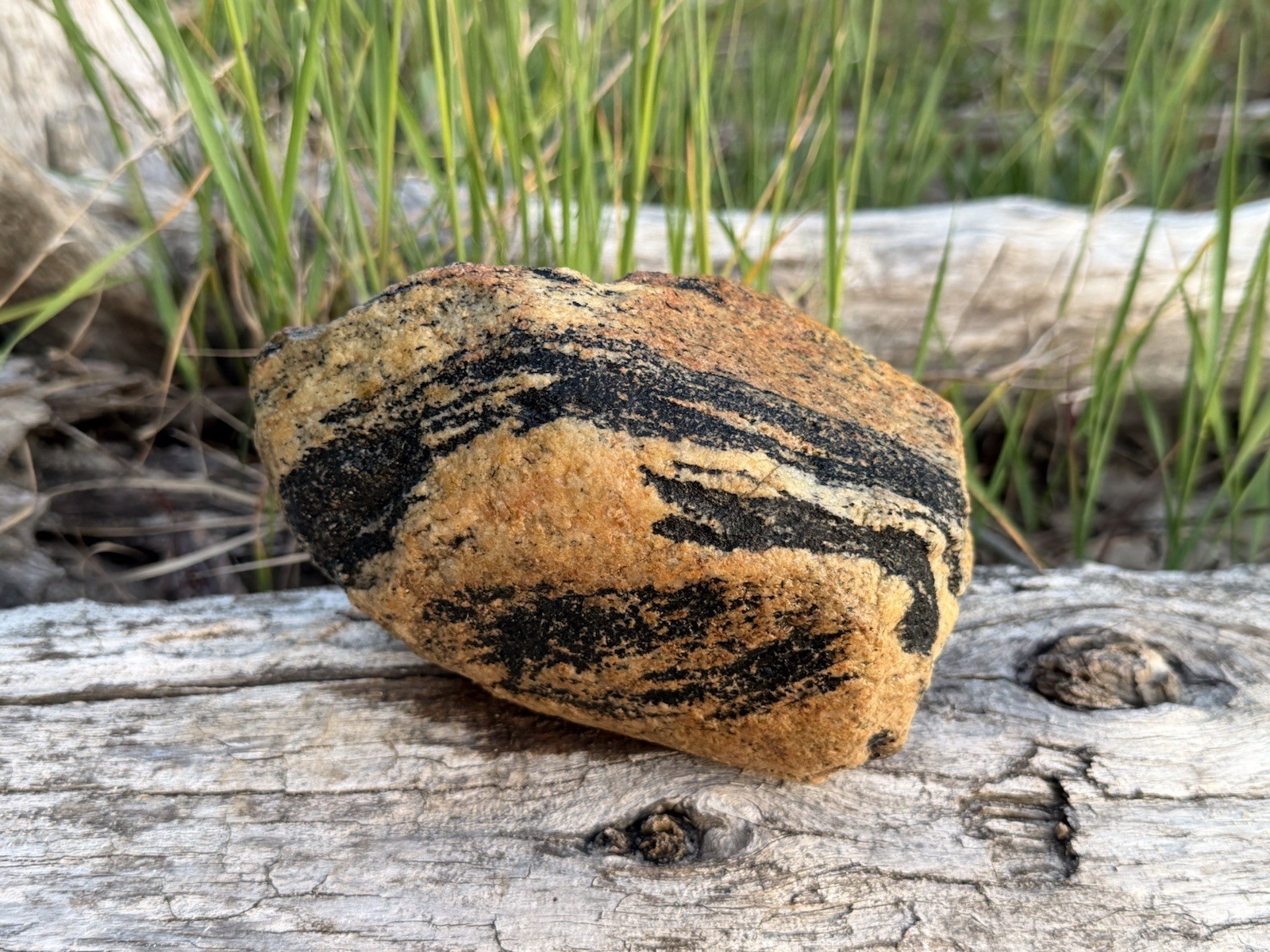 Natural Lake Michigan Rock Granite Large LOOK! 👀 3lb+ READ CAREFULLY