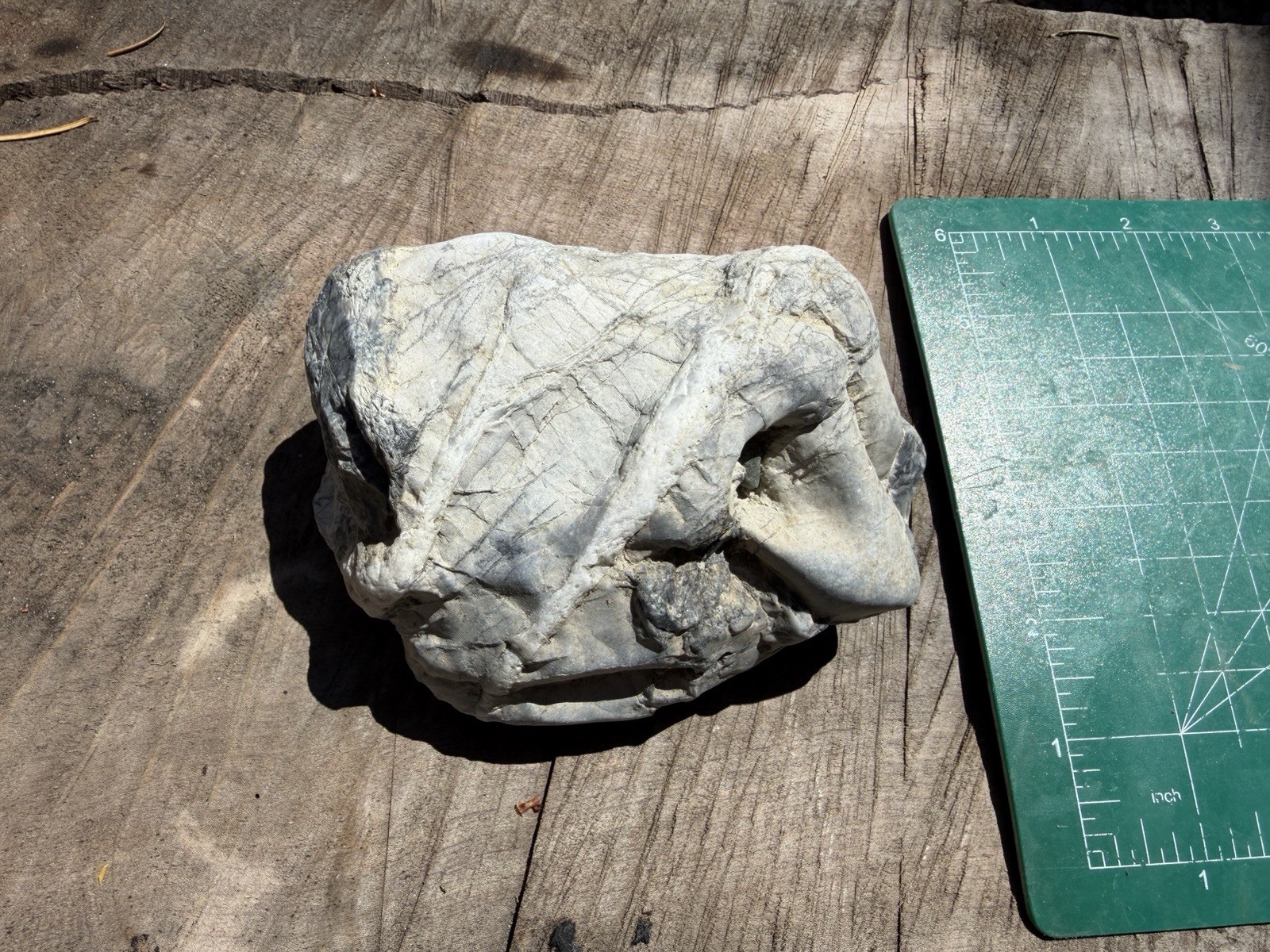 Unique Quartz Veined River Stone Natural Abstract Sculpture Display Specimen