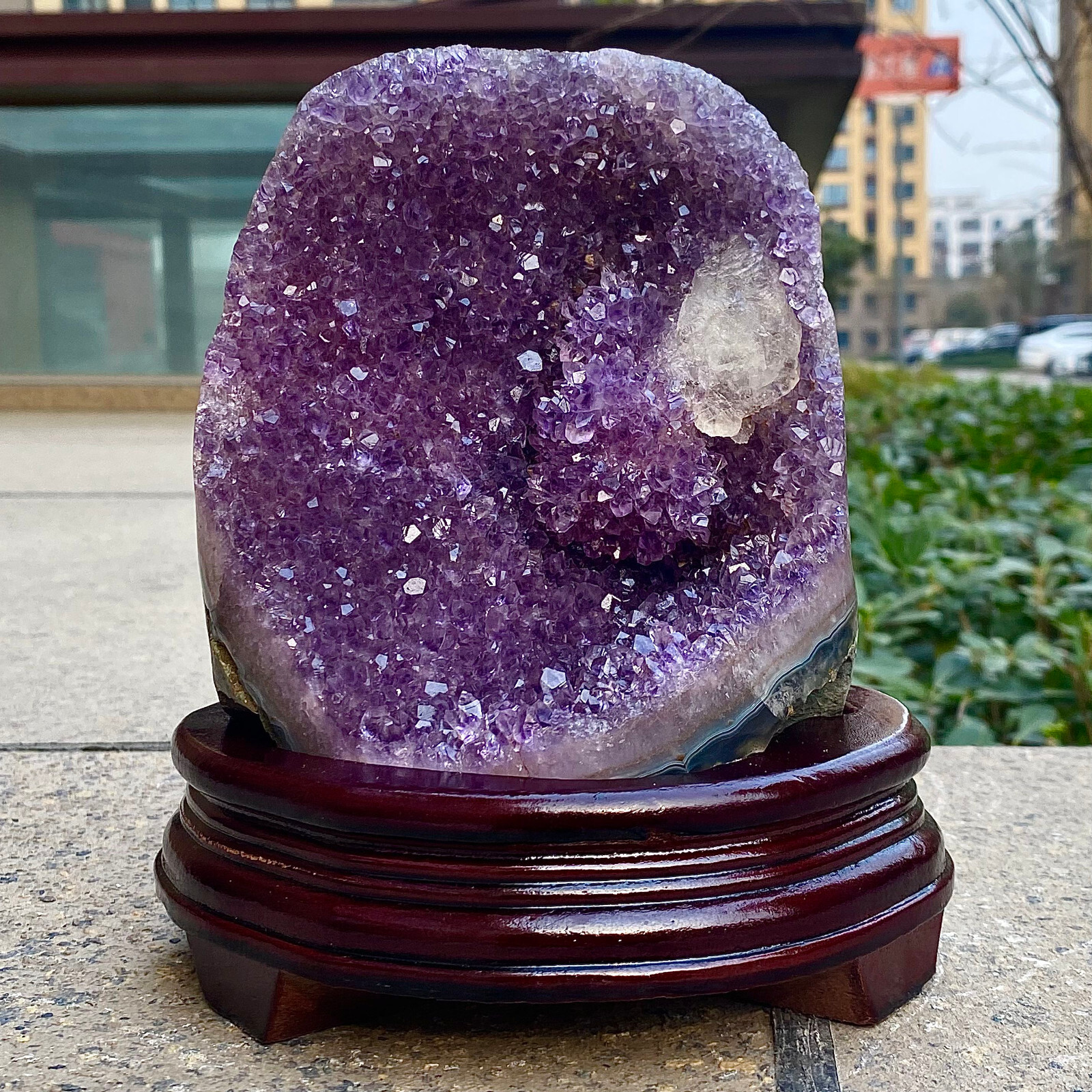 6.65LB Natural Uruguayan Amethyst Quartz Cave Geode Crystal Healing+base