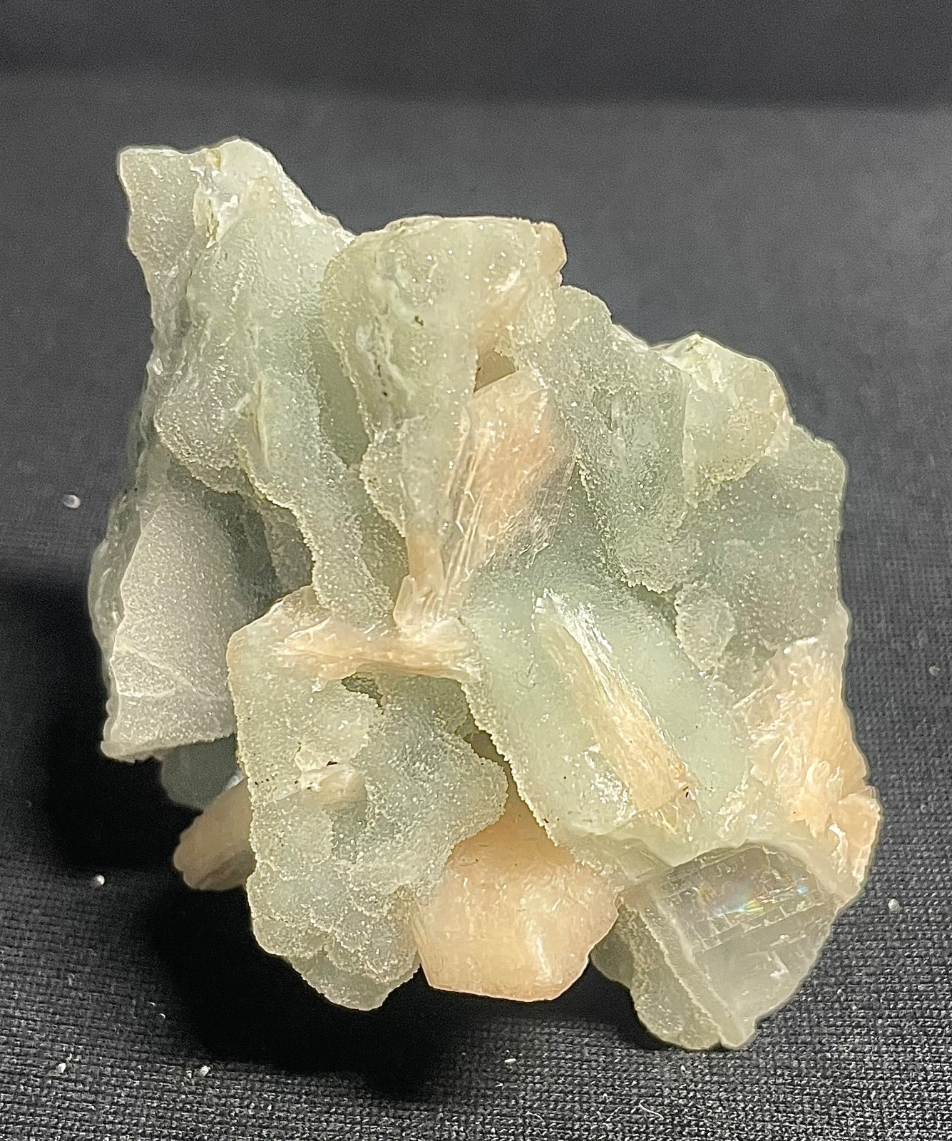 Natural coral stone with stilbite crystal and stunning 78 gr 6.5×5.5x4cm