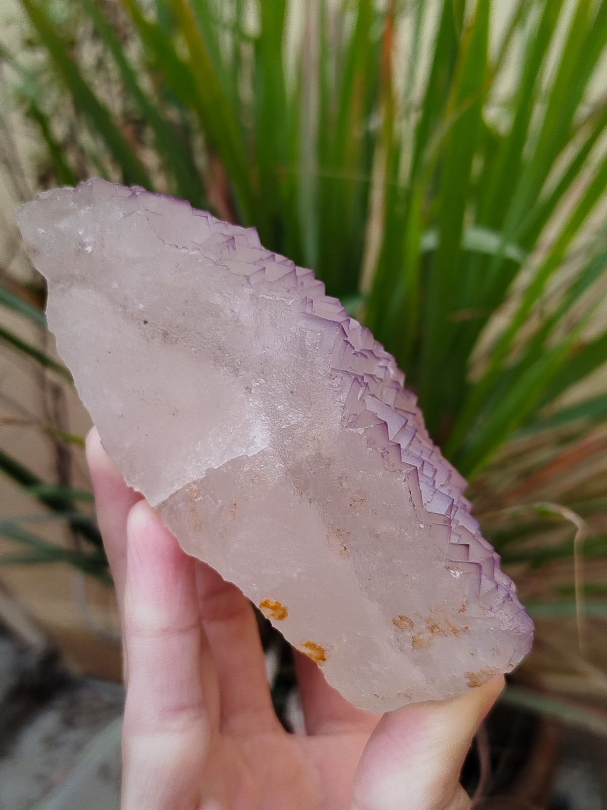 630g Natural Step Wise Cubic Fluorite Purple Lining Crystals Mineral Specimen