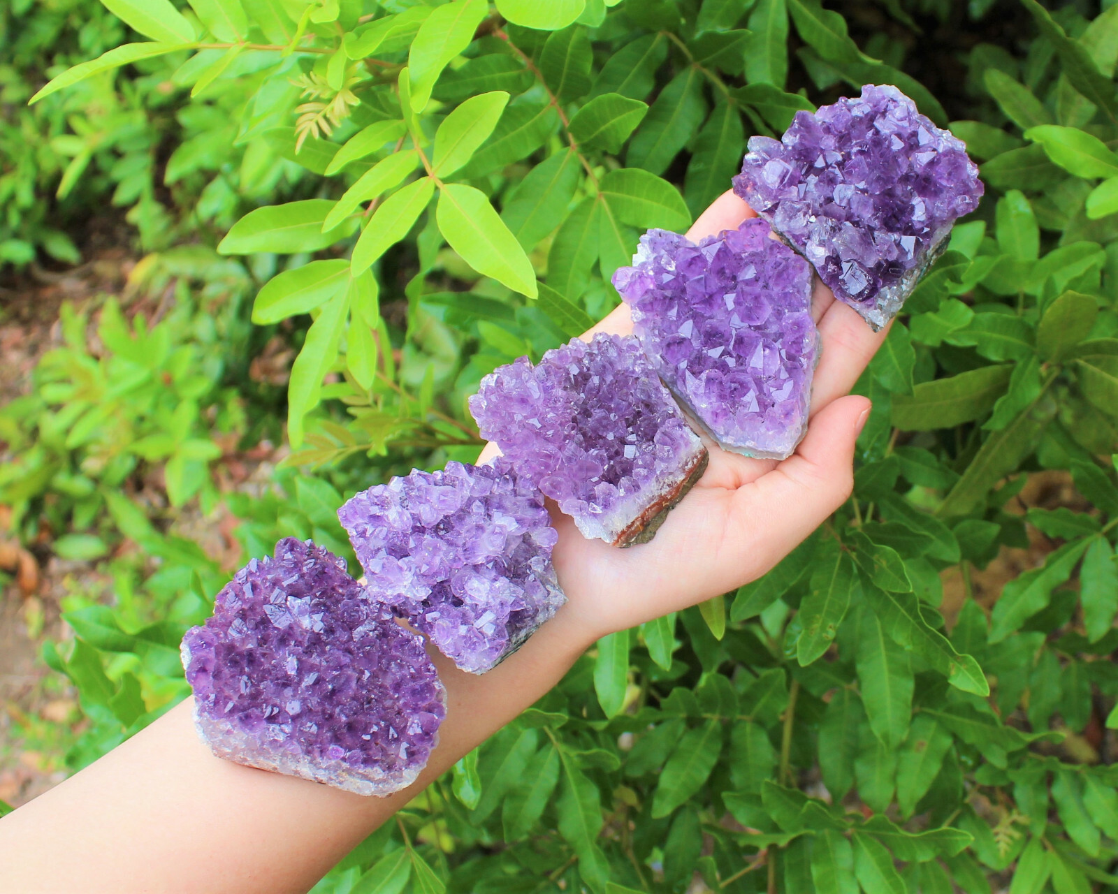 Amethyst Geode Druzy Crystal Quartz Cluster Natural Specimen: You Choose Size!
