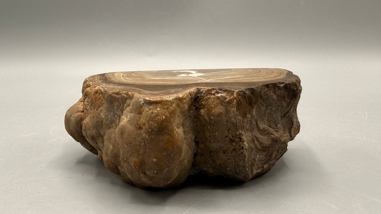 Polished Agate Freeform Thick Slice Crystal Geode Specimen Desk Home Decor Vtg
