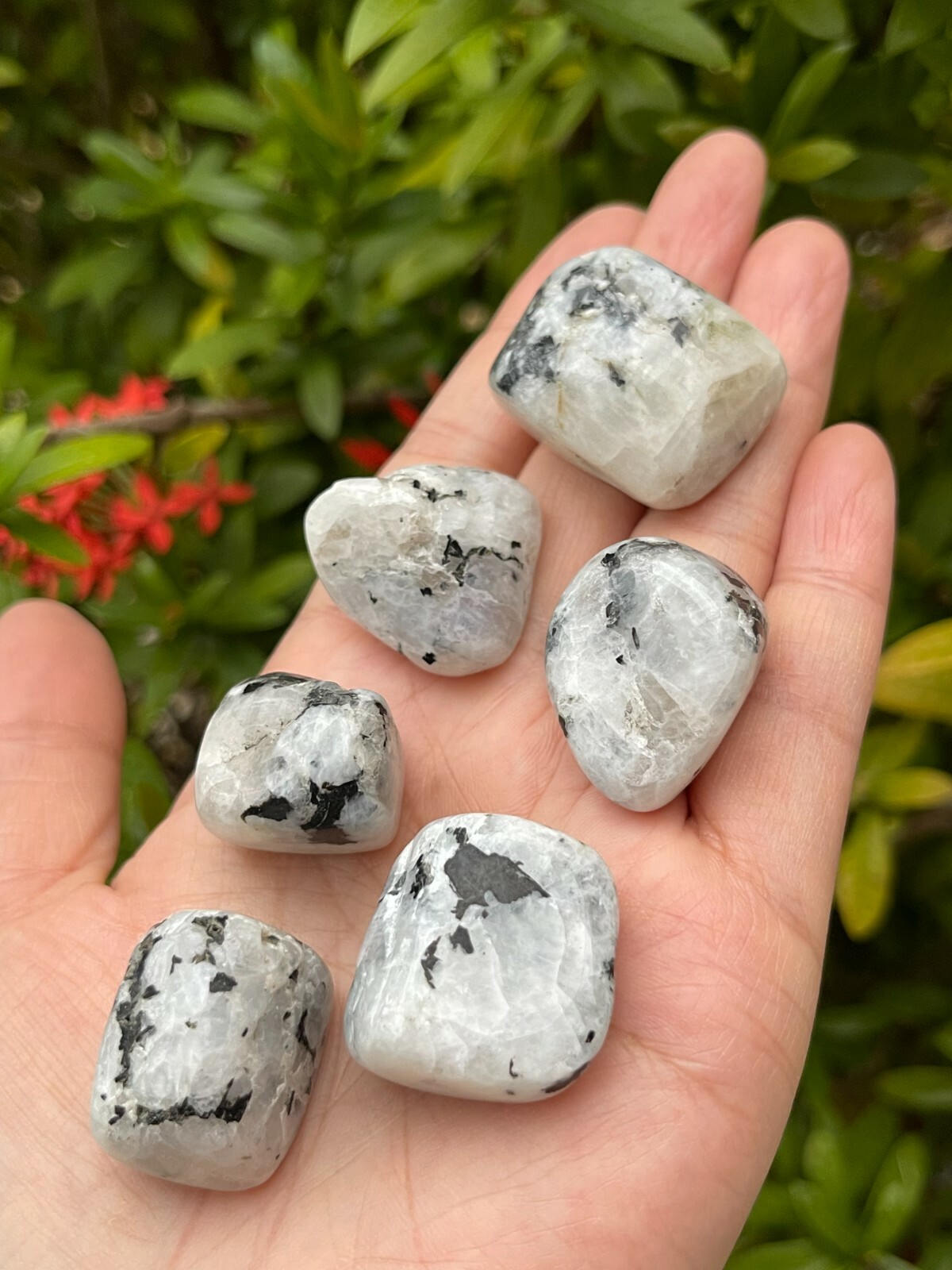 Rainbow Moonstone Tumbled Stone, 0.75-1″ Tumbled Rainbow Moonstone, Bulk Lots