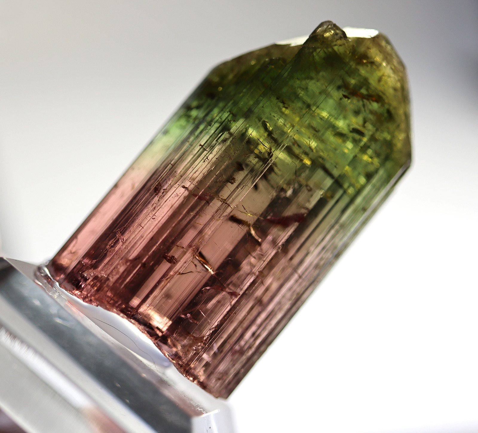 Gem Tourmaline. Nuaparra Pegmatite, Zambezia Prov., Mozambique. About 50 grams