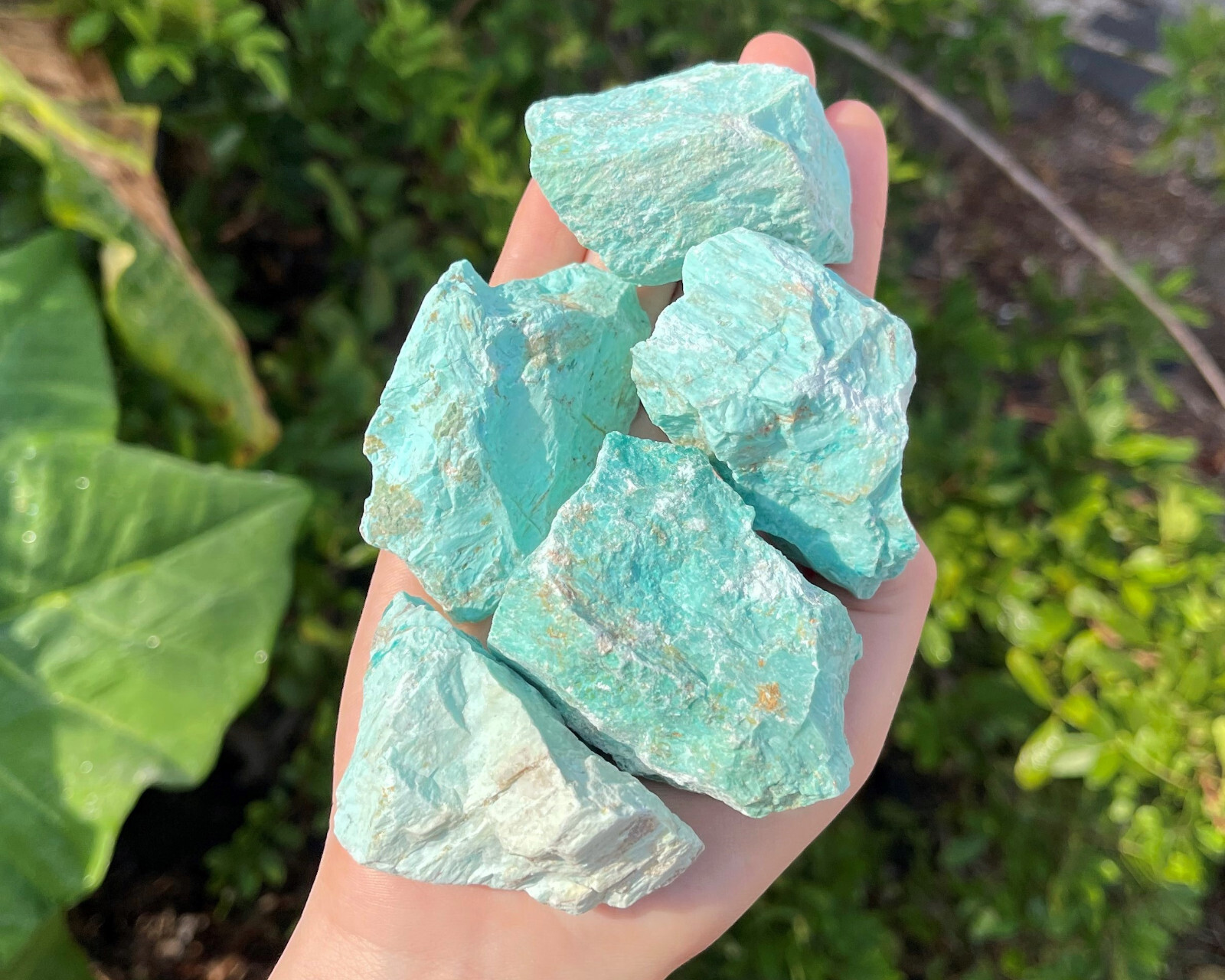 Rough Turquoise Stones LARGE 2-3″ (Raw Natural Turquoise, Peru)