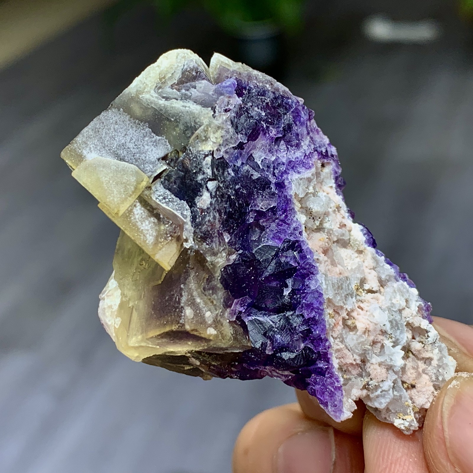48G Rare transparent purple cubic fluorite mineral crystal sample/China