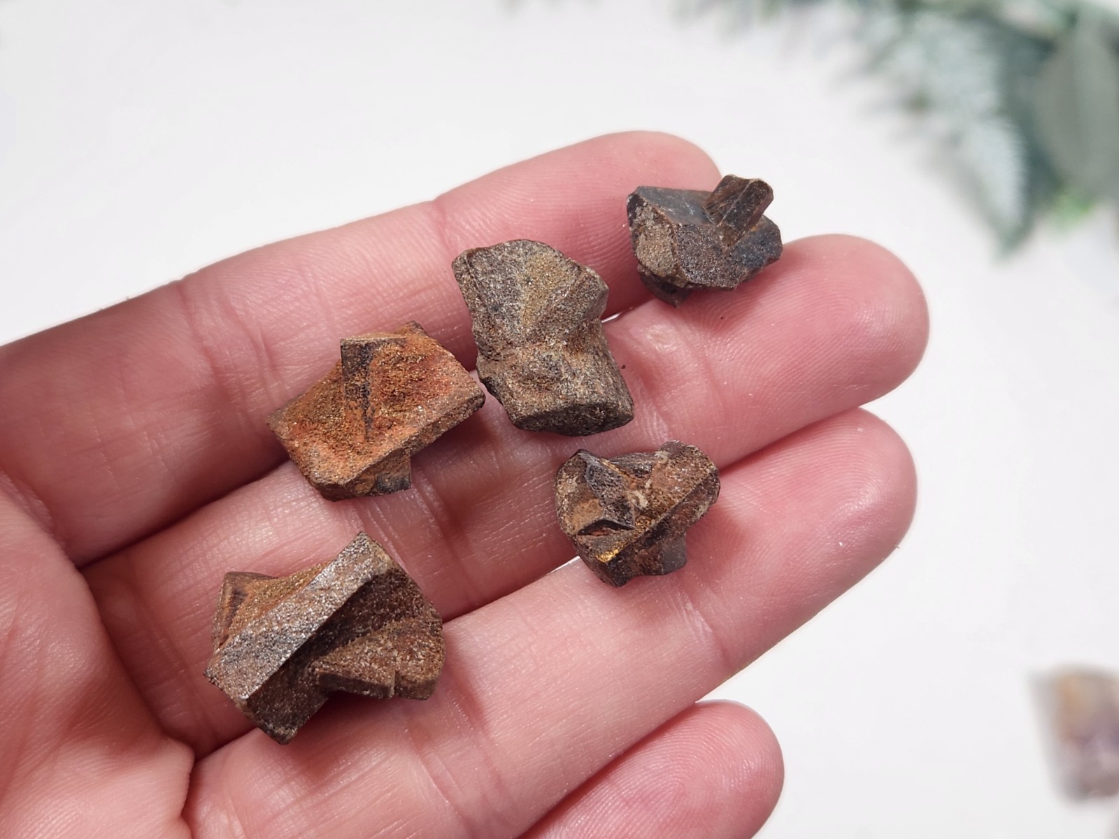 10 Fairy Cross Specimen Crystals Madagascar St Andrews Cross 10mm -15mm Et1