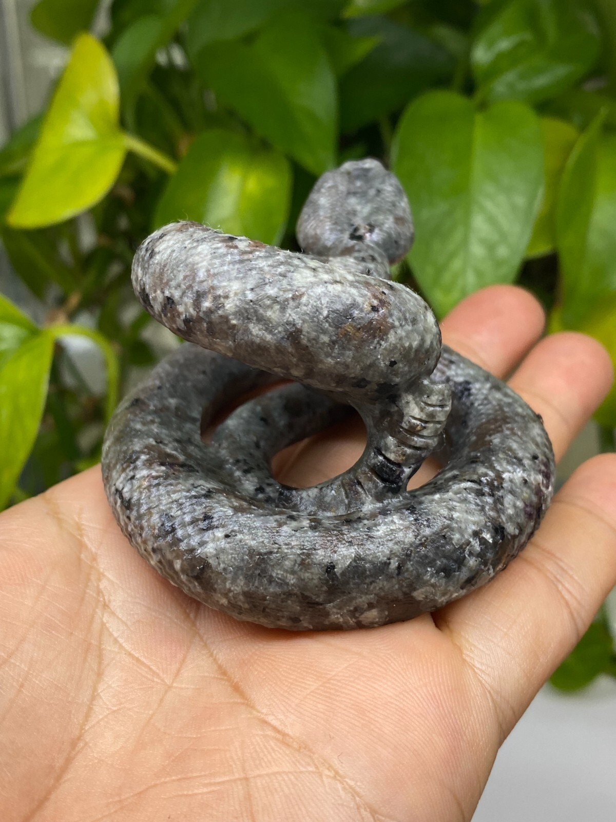 2.8” Natural Yooperlite snake Skull Carved Quartz Crystal reiki healing 1pc