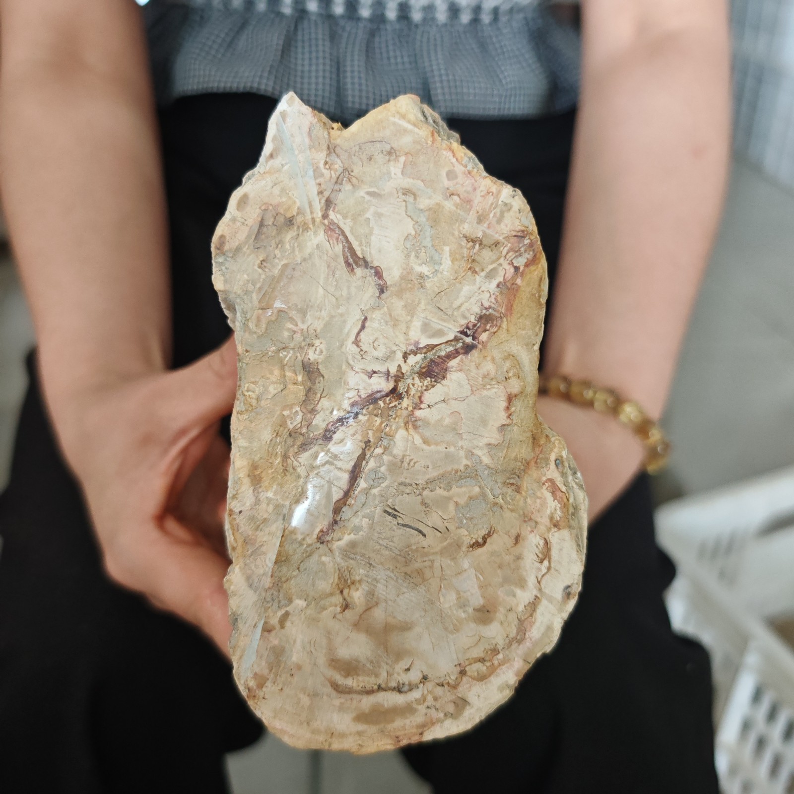 4.84LB Natural crystal Petrified Wood Segment Decoration healing gift