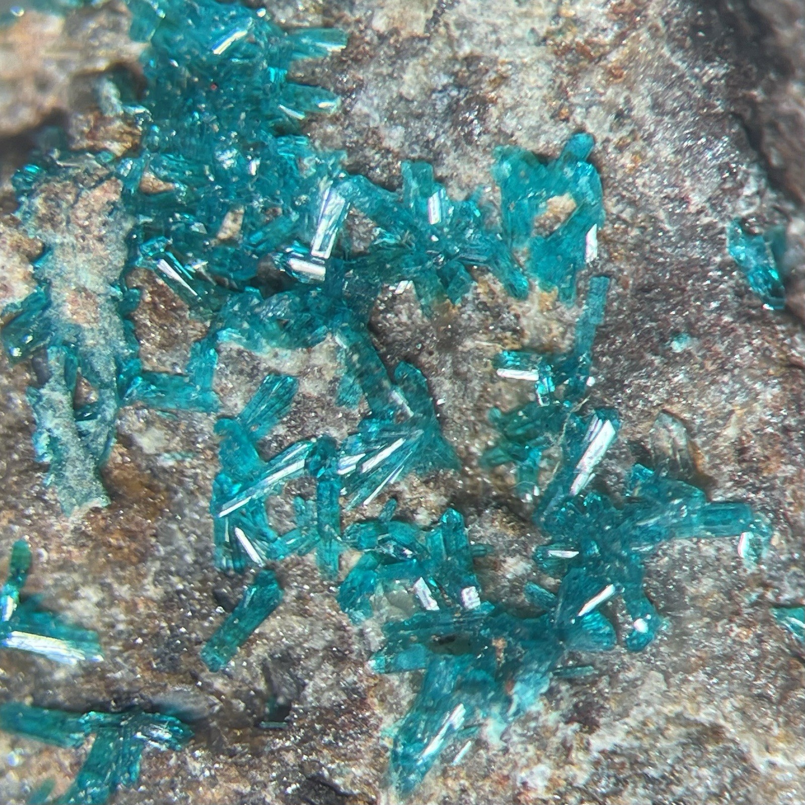Dioptase Crystal Druzy Harquahala Mine ARIZONA USA