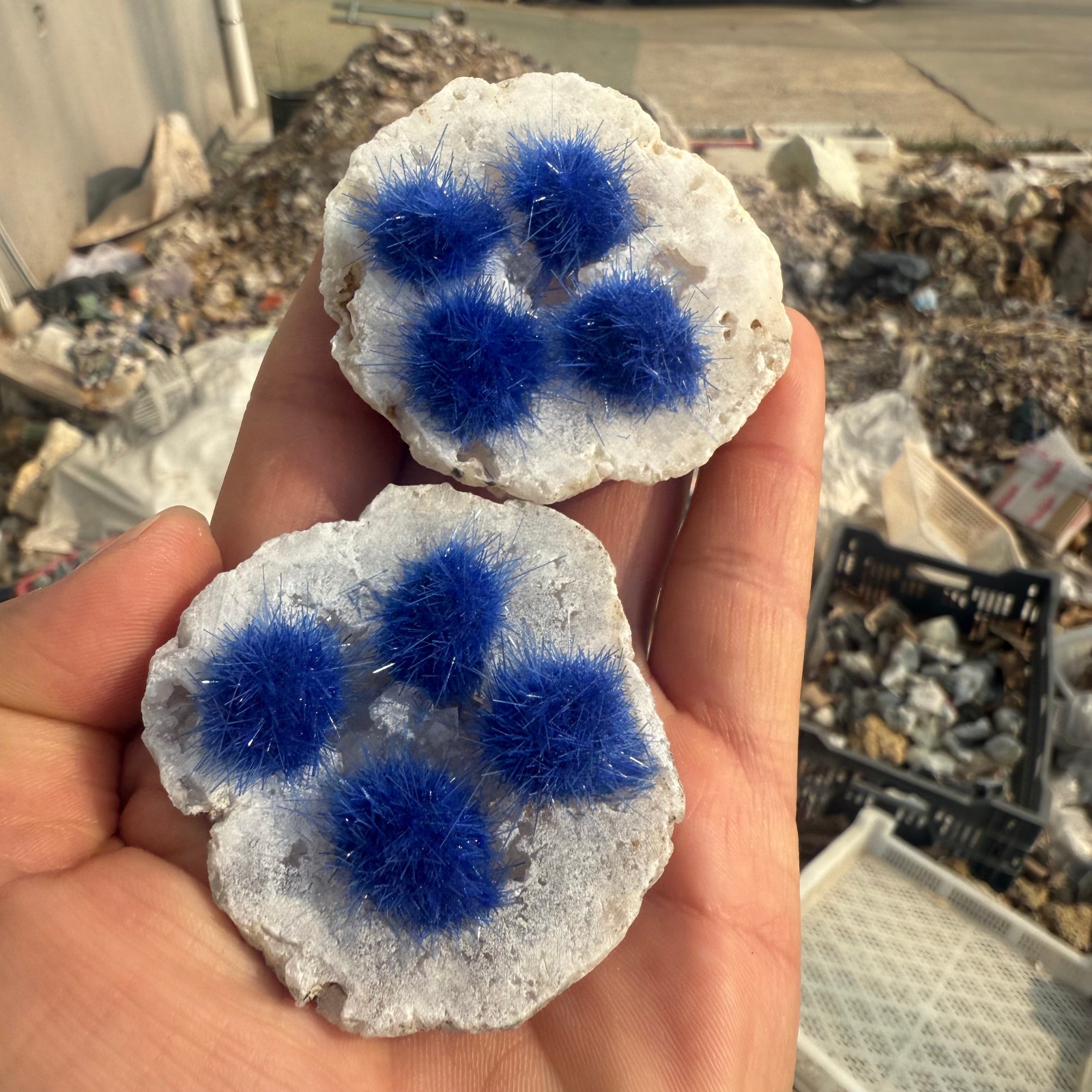 Raw Rough Dandelion Zeolite Cluster Blue Cave Quartz Crystal Decoration 10pc
