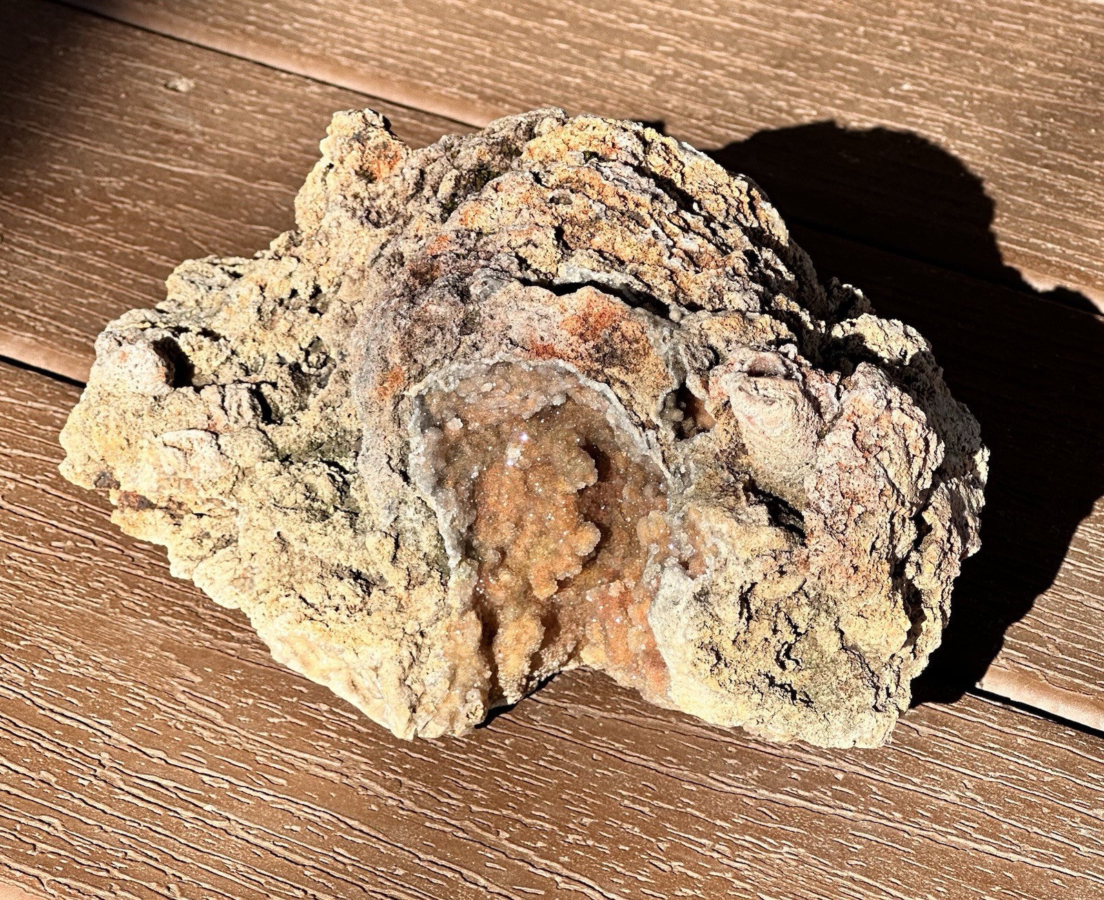 Missouri Druzy Quartz Natural Fossilized Coral Beautiful DisplayTerrarium
