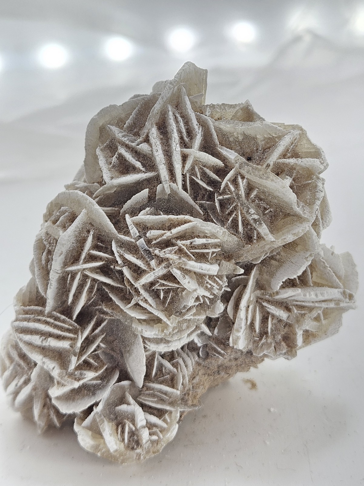 Natural Desert Rose Selenite Cluster – Mexico – Bladed Gypsum Crystal Specimen