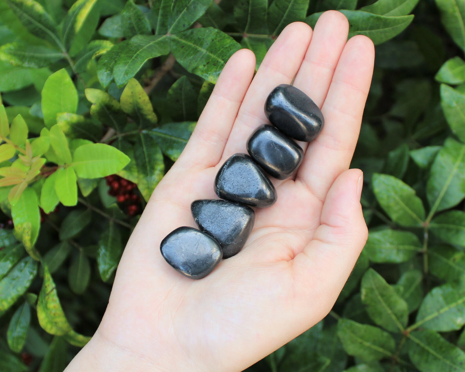 5 Shungite Specimen Tumbled Stones: Medium (Crystal Healing Gemstone Reiki)