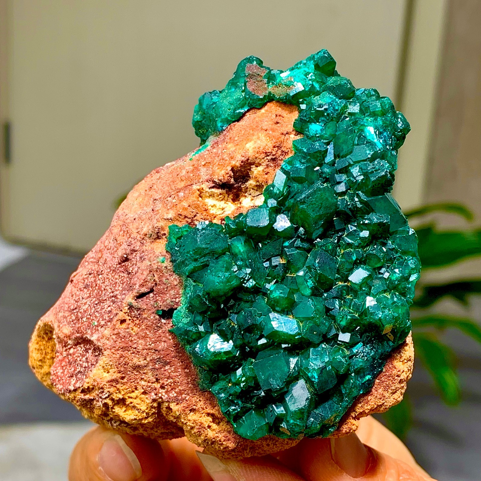 205G Natural Deep Green Grainy dioptase gemstone cluster mineral specimen