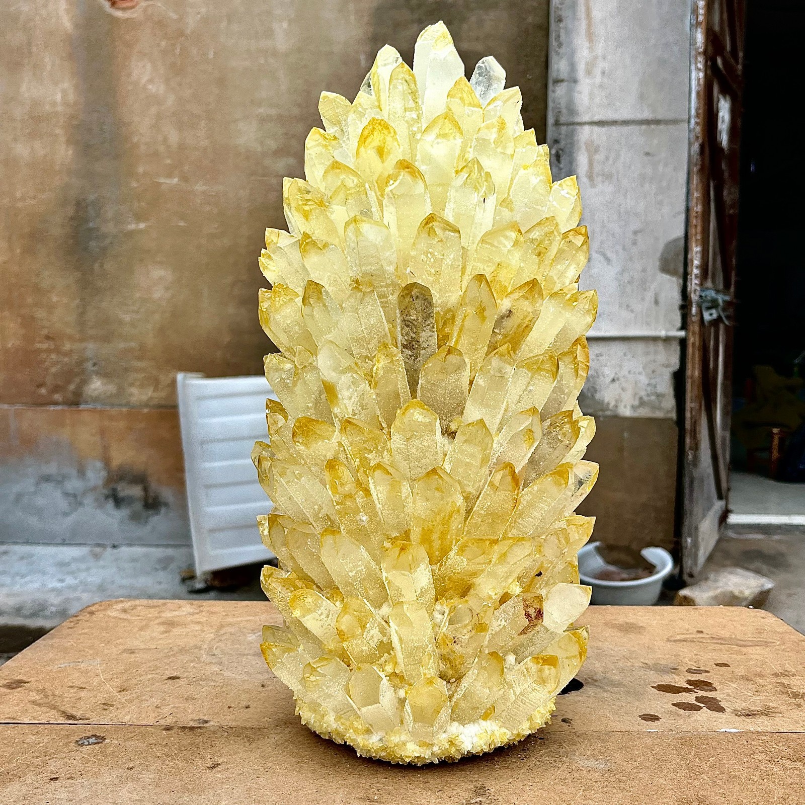 31.06LB Yellow Ghost Phantom Crystal Cluster Flower Raw Crystal Heal Quartz Deco