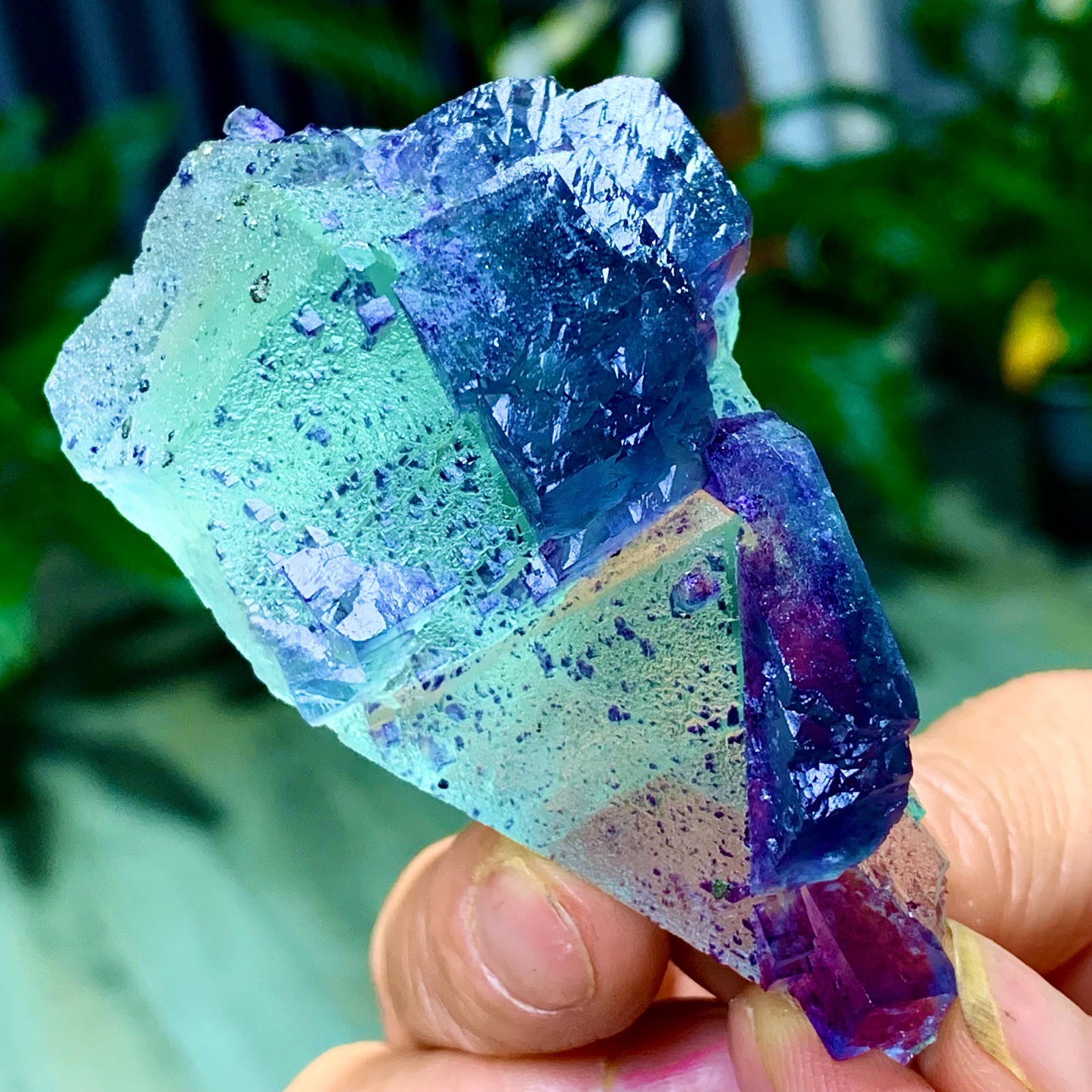 86G Rare transparent green purple cubic Zhejiang fluorite mineral sample