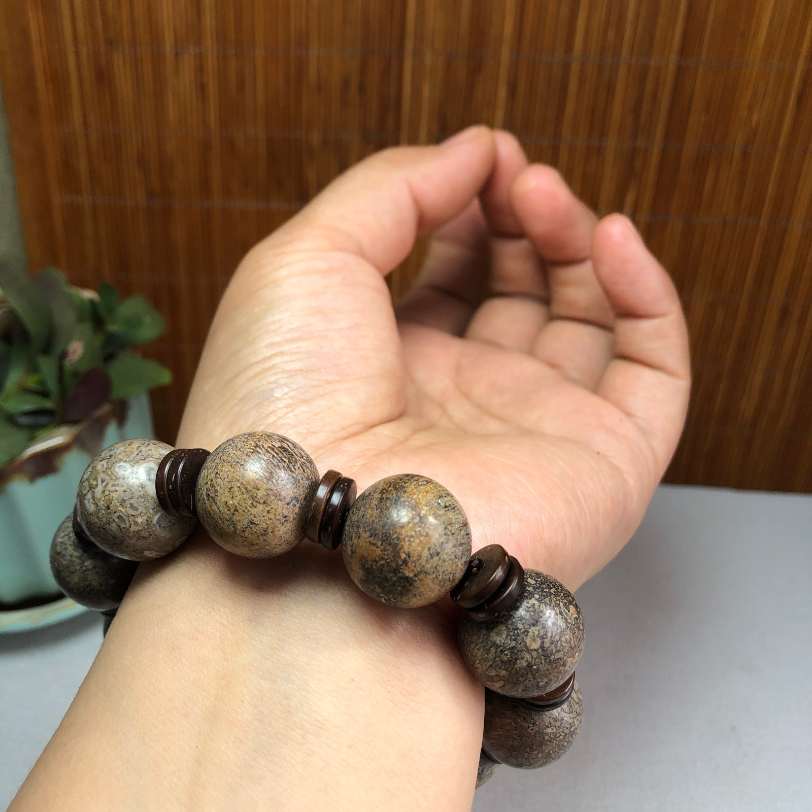17+mm Natural dinosaur bone gemstone Crystal chain bracelet Specimen 87g A1077