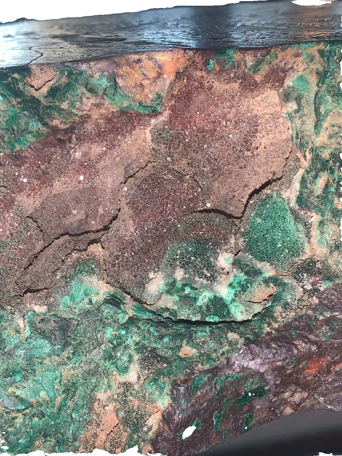 6.5lbs Globe/Miami AZ Old Stock Specimen – Druzy Quartz Malachite on Cuprite.