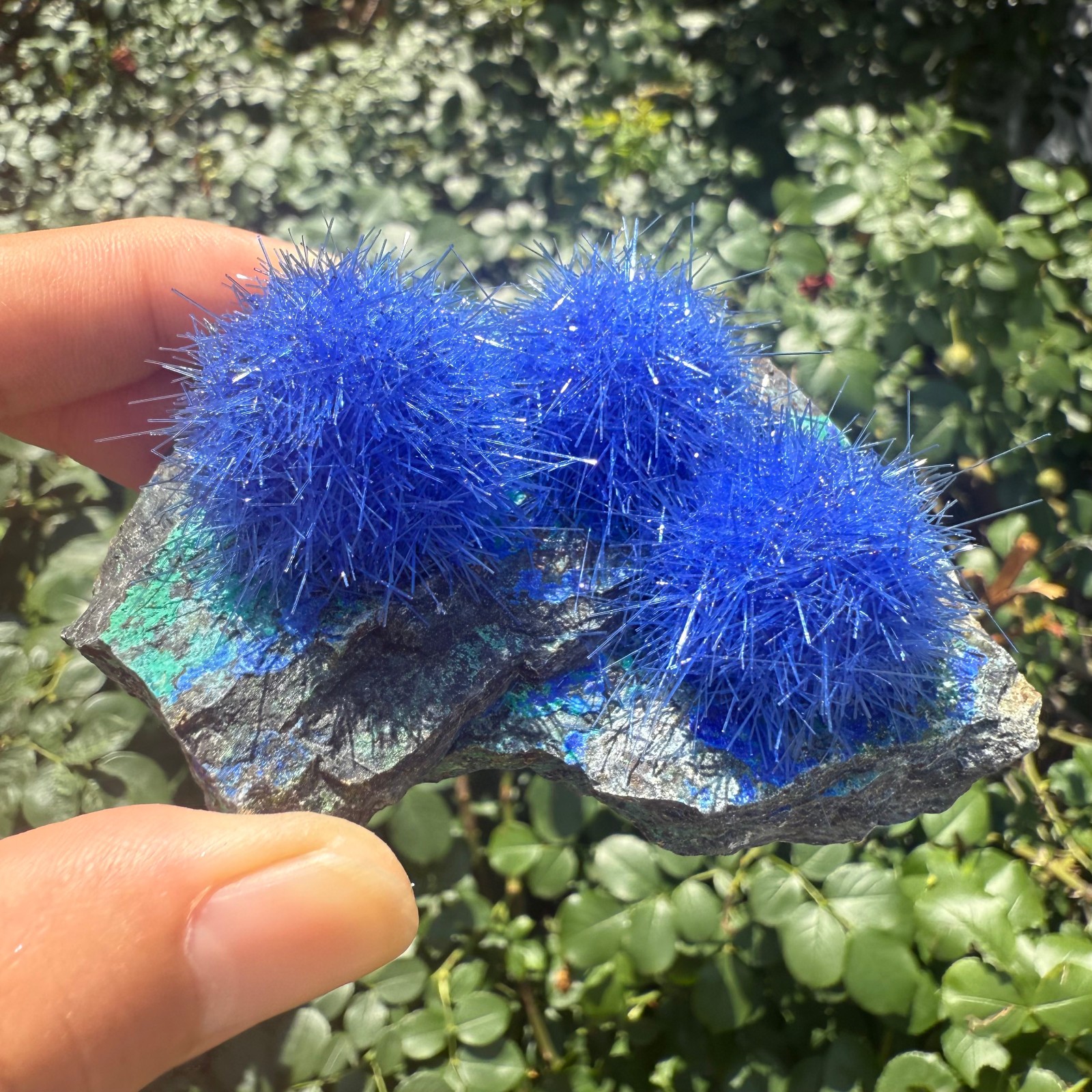 Raw Rough Dandelion Zeolite Cluster Blue Cave Quartz Crystal Specimen Decoration