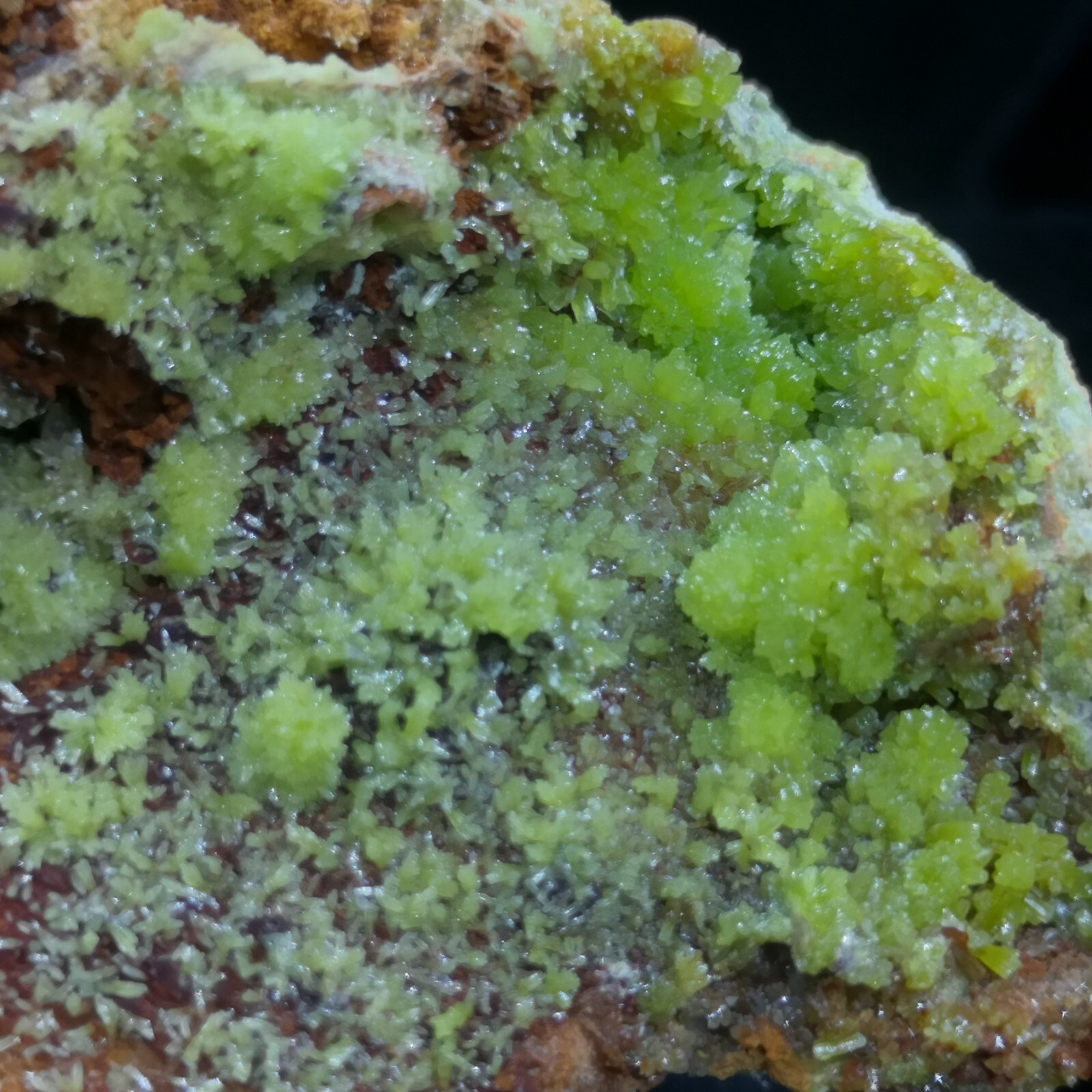 73mm 113g Drusy Fresh Green Pyromorphite on matrix, Natural Mineral Specimen