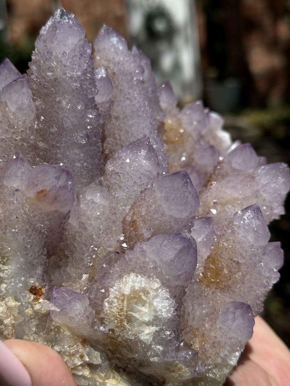 High Grade XXL (5.7lbs) Long Finger Deep Lavender Spirit Cactus Quartz cluster