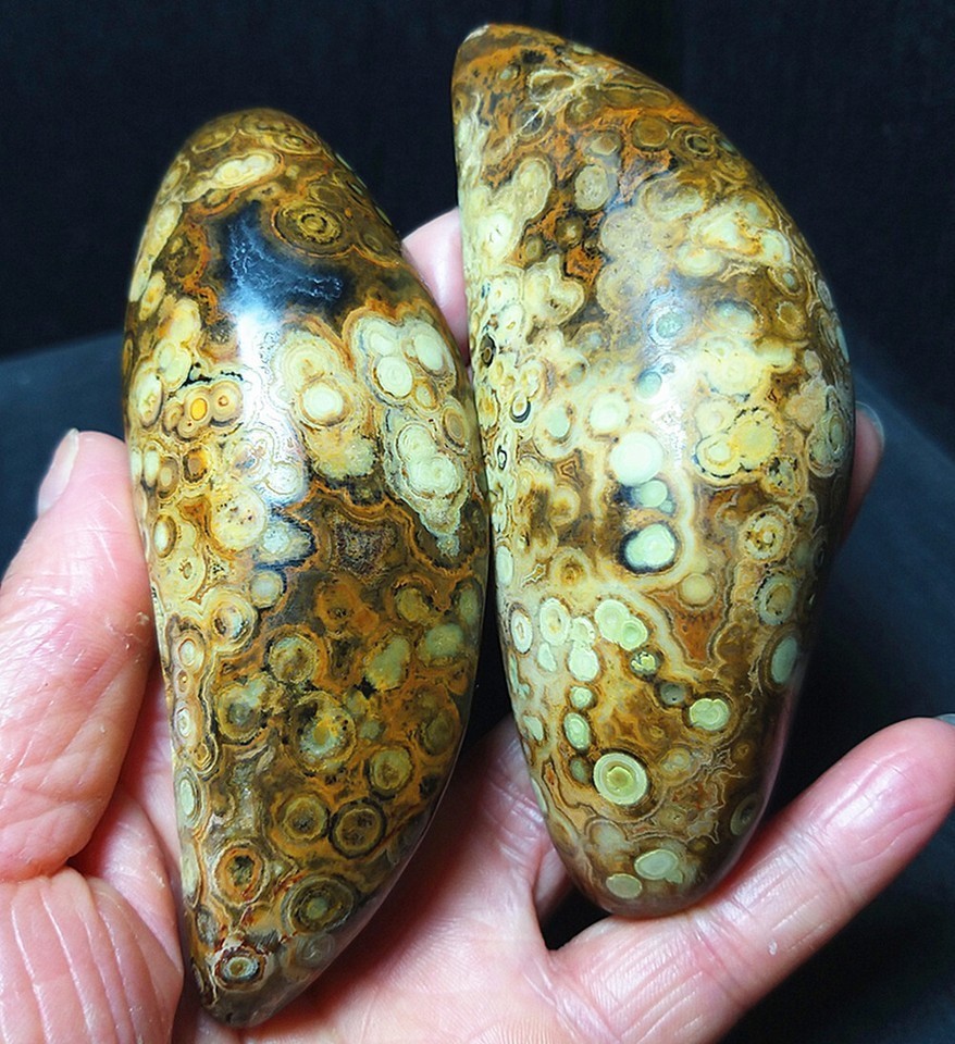 Rare 204G 1 Pair Natural Inner Mongolia Gobi Eye Agate Geode Collection CAa2594