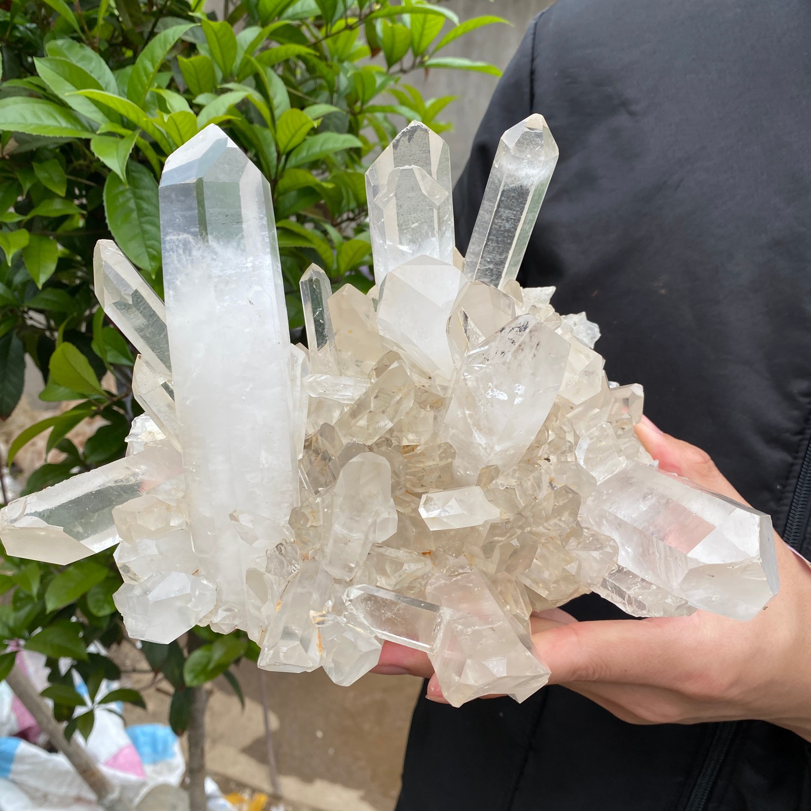 7.4lb Natural Clear White Quartz Crystal Cluster Rough Healing Specimen