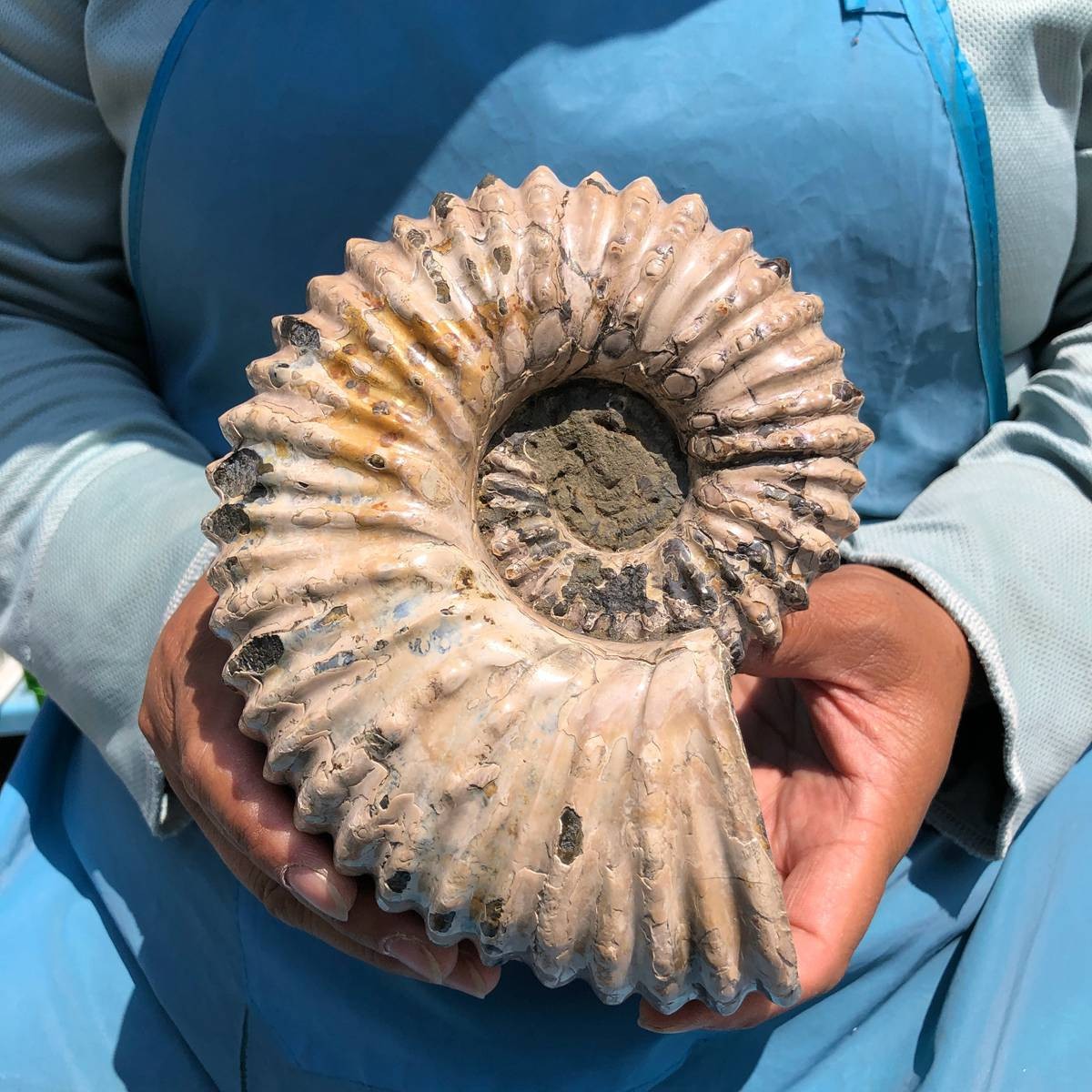 3.98LB Natural Beautiful Ammonite Fossil Conch Crystal Specimen Healing 5390