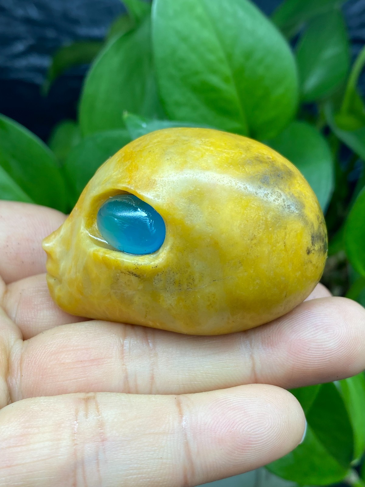 1pc Natural Yellow jade Quartz Carved Alien Skull Crystal Reiki Healing Gem Gift