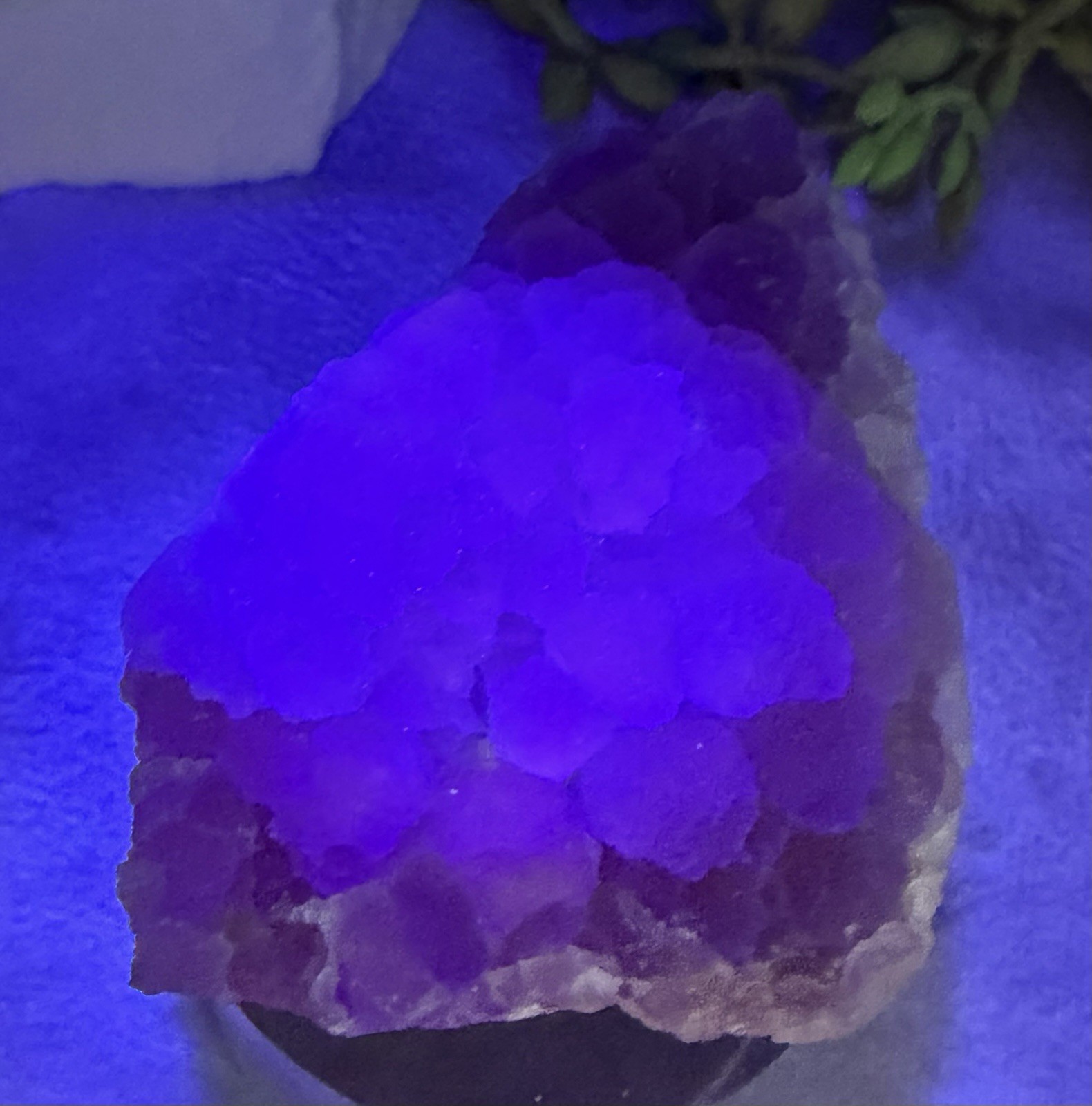 Crystal 119g Pink Bubble Fluorite UV Reactive Cluster Specimen Mineral Raw
