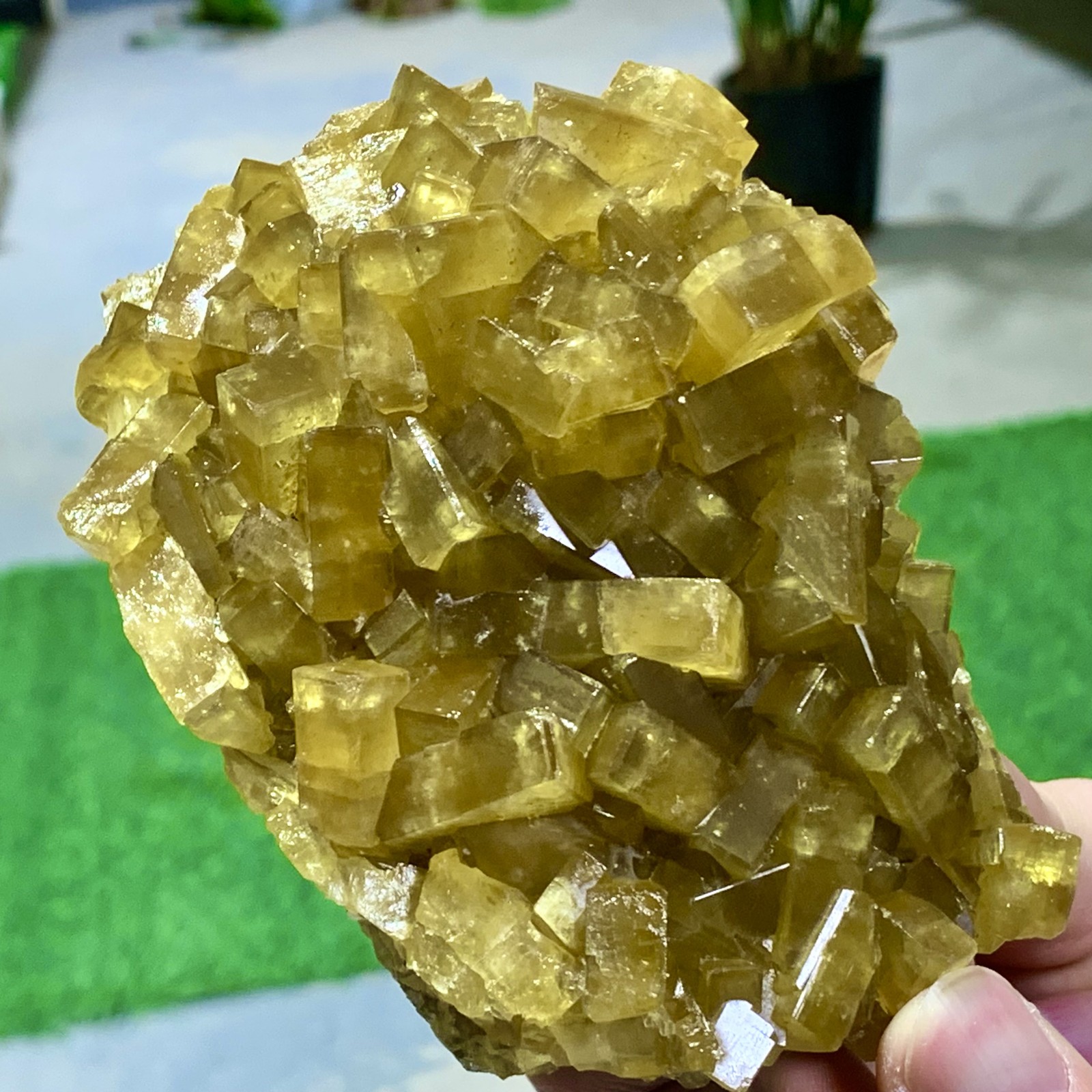 1.87LB Shiny Golden Cuboid Barite Crystal Based on the Purple Spherical Fluorite