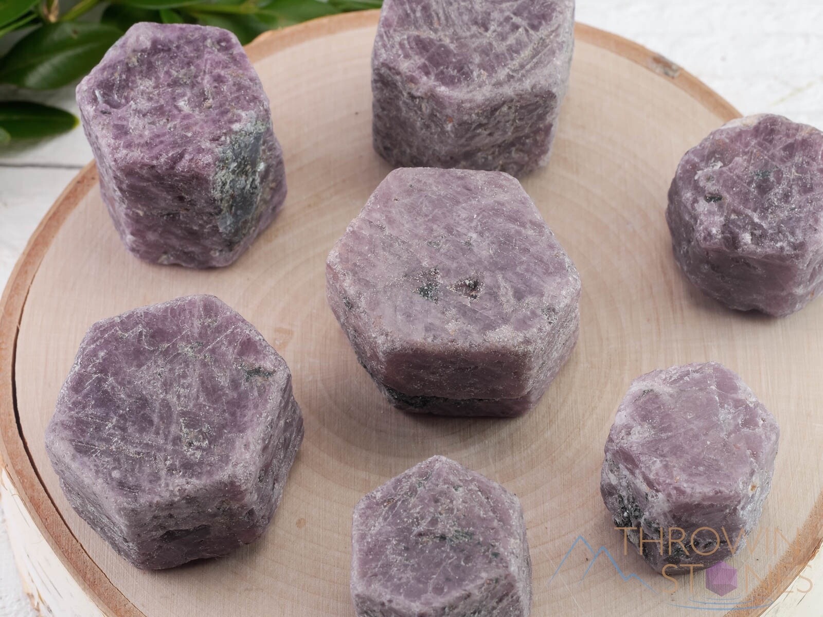 RUBY Raw Crystal – Record Keeper, Corundum, Hexagon – Birthstone, Stone, E0063