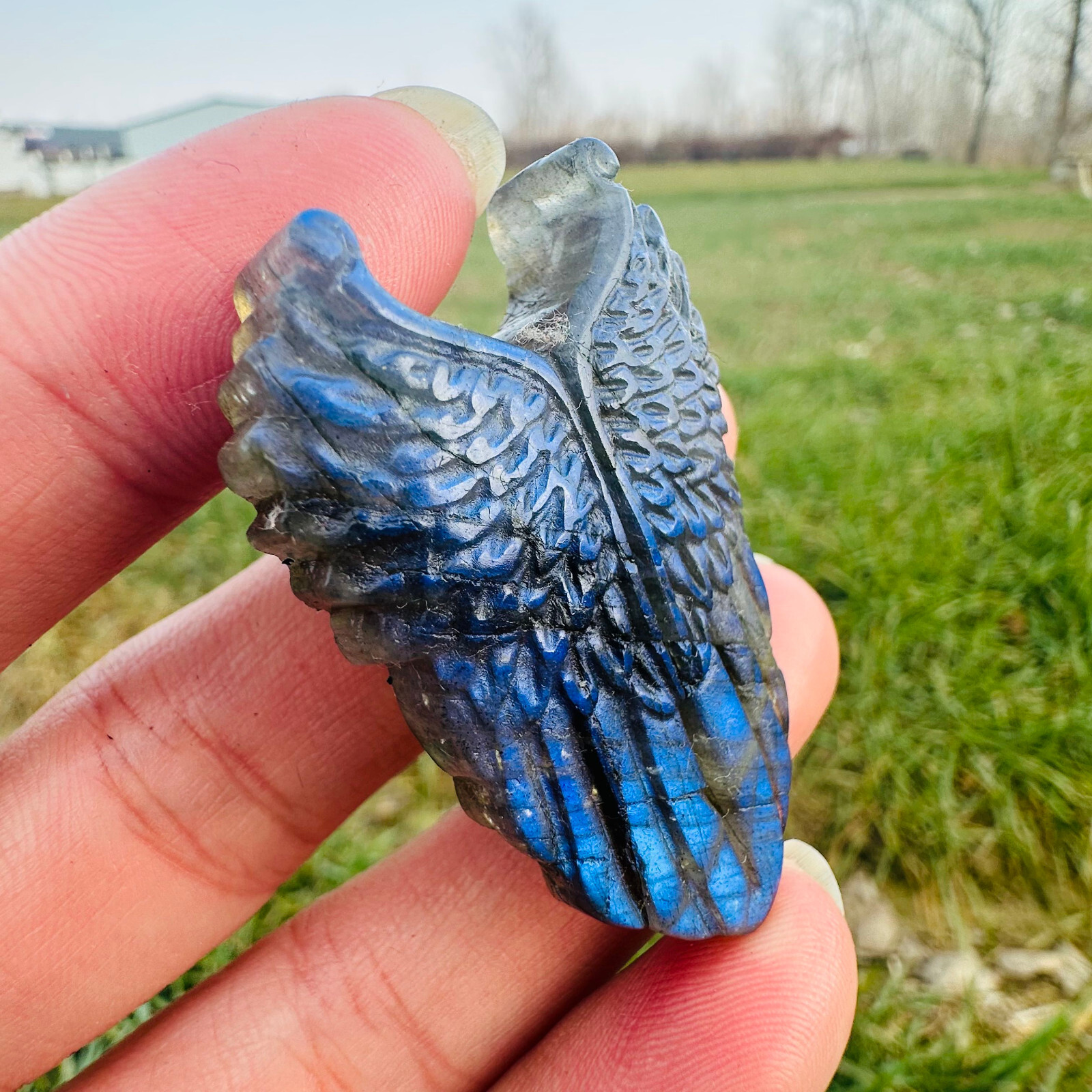 Natural Labradorite Carved Wing Quartz Skull Crystal Specimen Reiki Healing 1PC