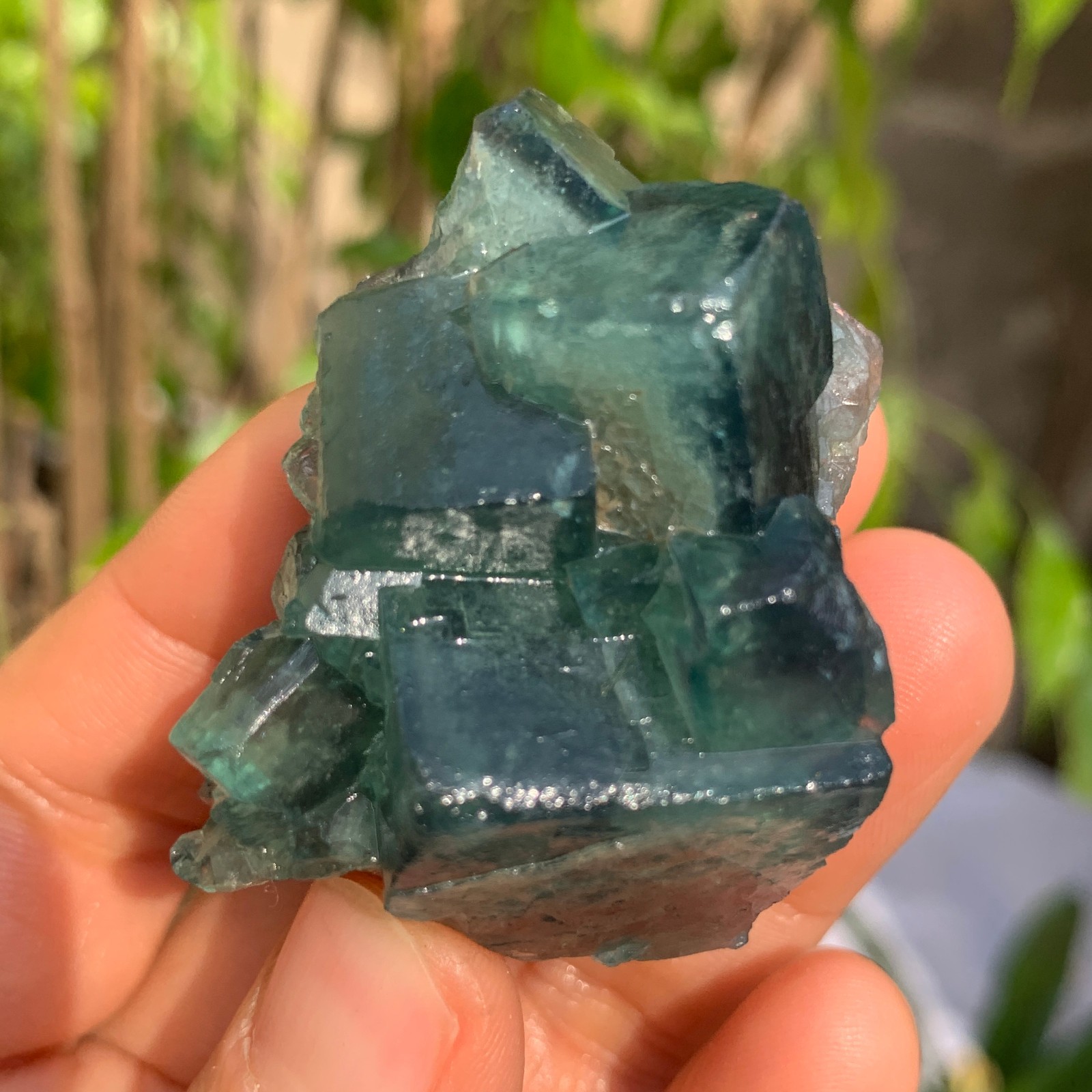 88g Natural Green FLUORITE Quartz Crystal Cluster Mineral Specimen