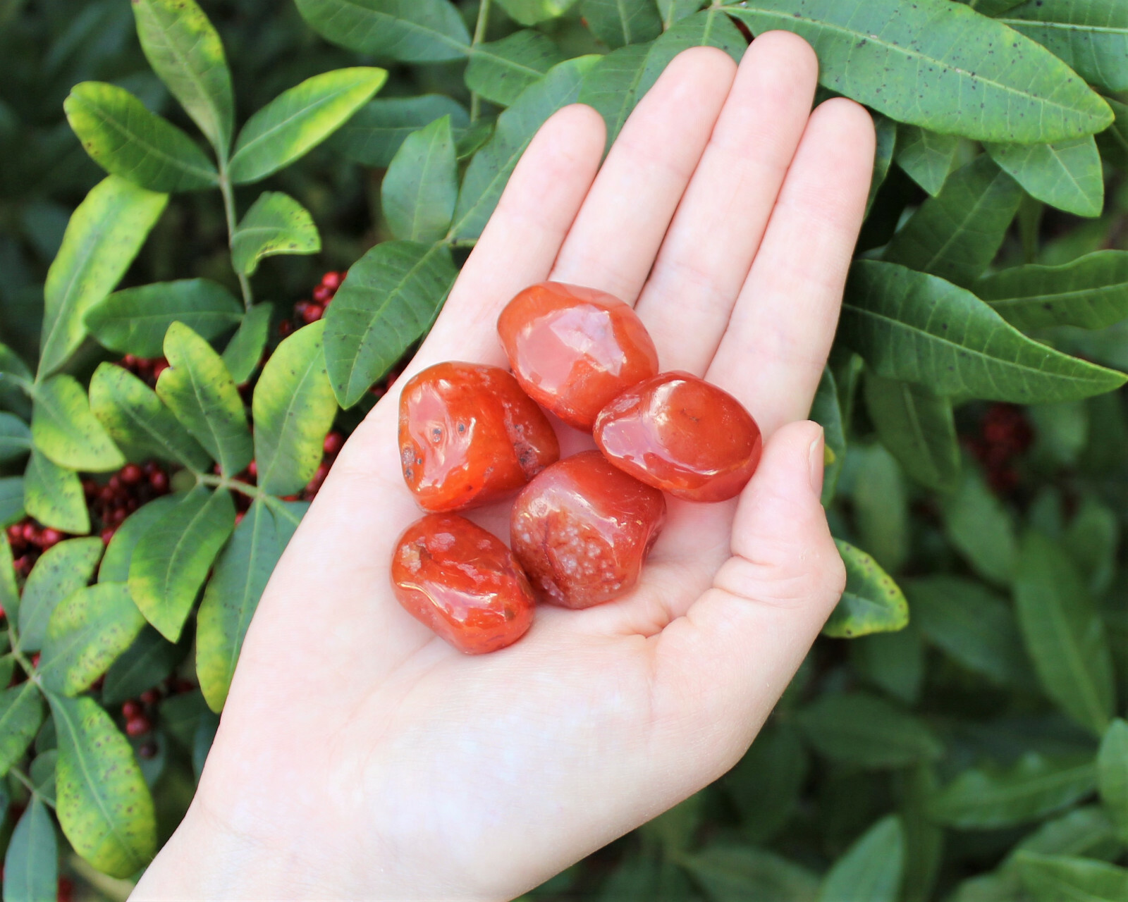 5 Carnelian Tumbled Stones, Medium (Crystal Healing Gemstone Reiki) US Seller