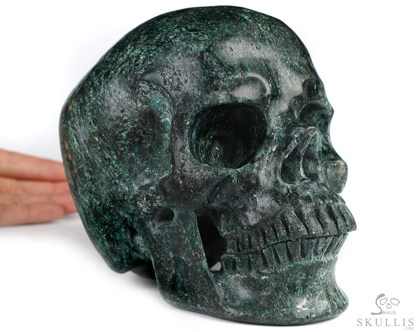 Super Realistic! Lifesized 7.0″ Chlorite Schist Hand Carved Crystal Skull