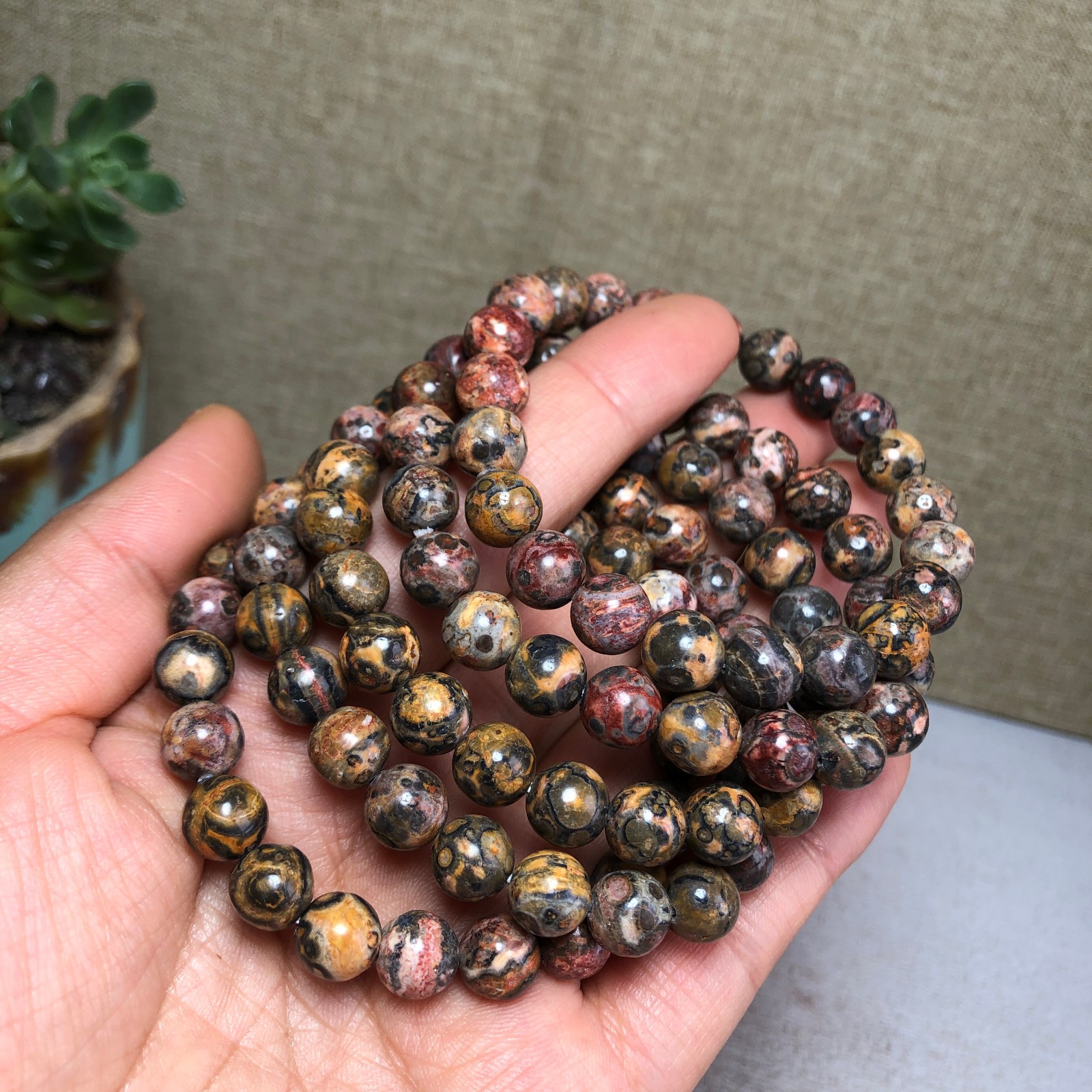 5pcs Natural Leopard stone gemstone Crystal chain bracelet Specimen 8mm T4766
