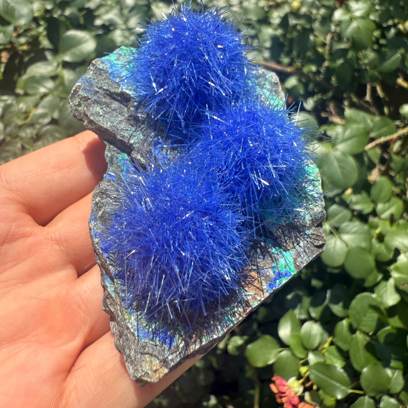 Raw Rough Dandelion Zeolite Cluster Blue Cave Quartz Crystal Specimen Decoration